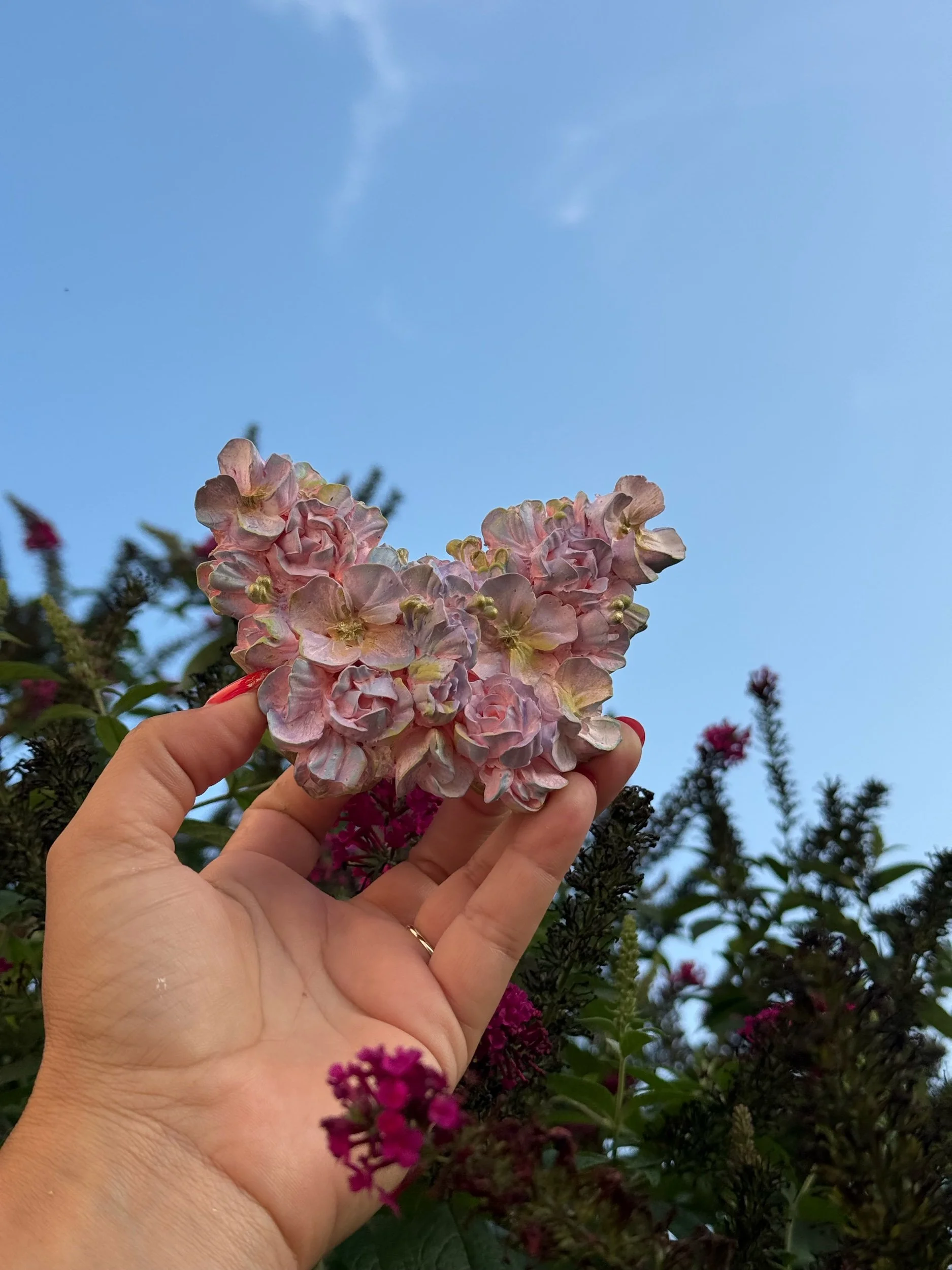 B33402DF-D105-468A-AA8D-45F7229D346D.jpeg