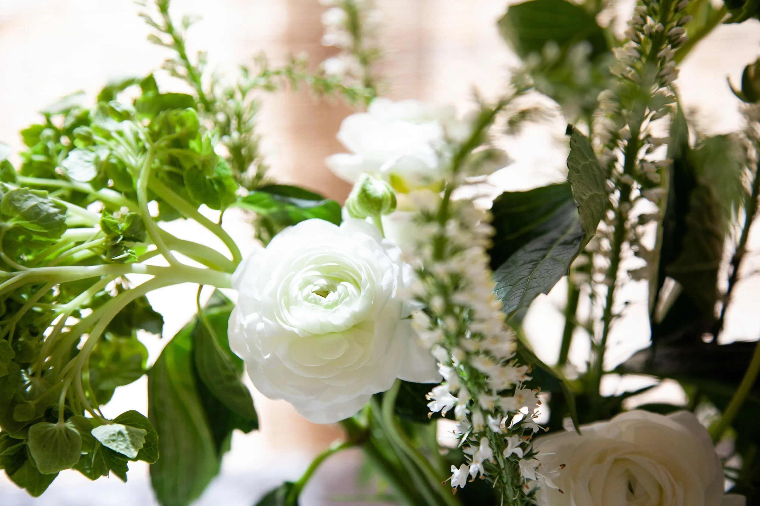 The Arrange Home Edit 