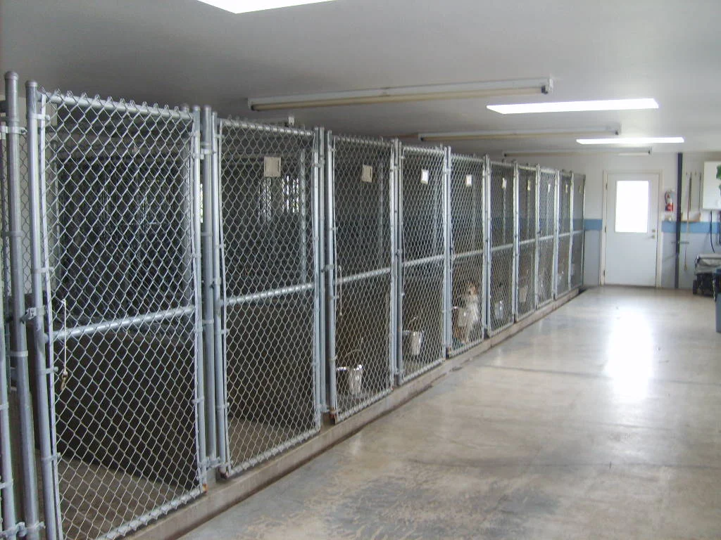 kennels.jpg