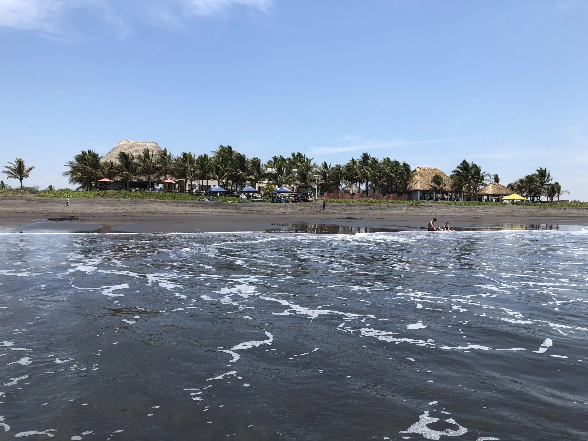 IMG_1575.jpg