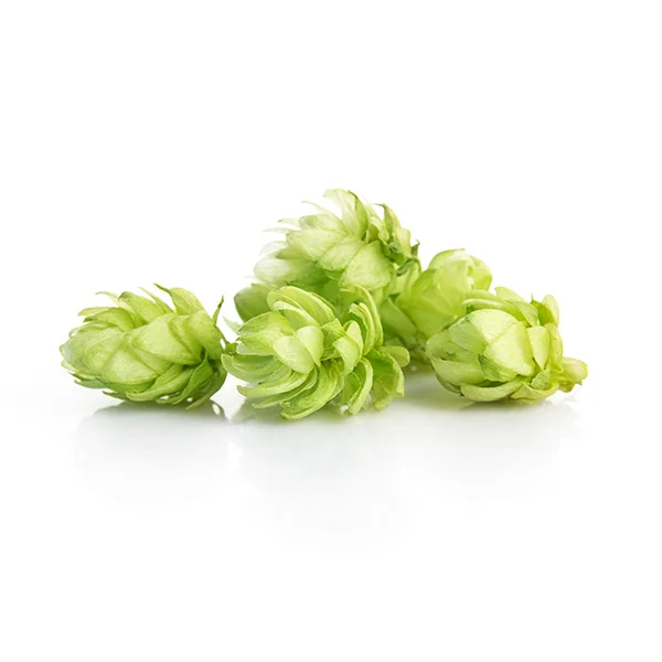 leaf-hops.jpg