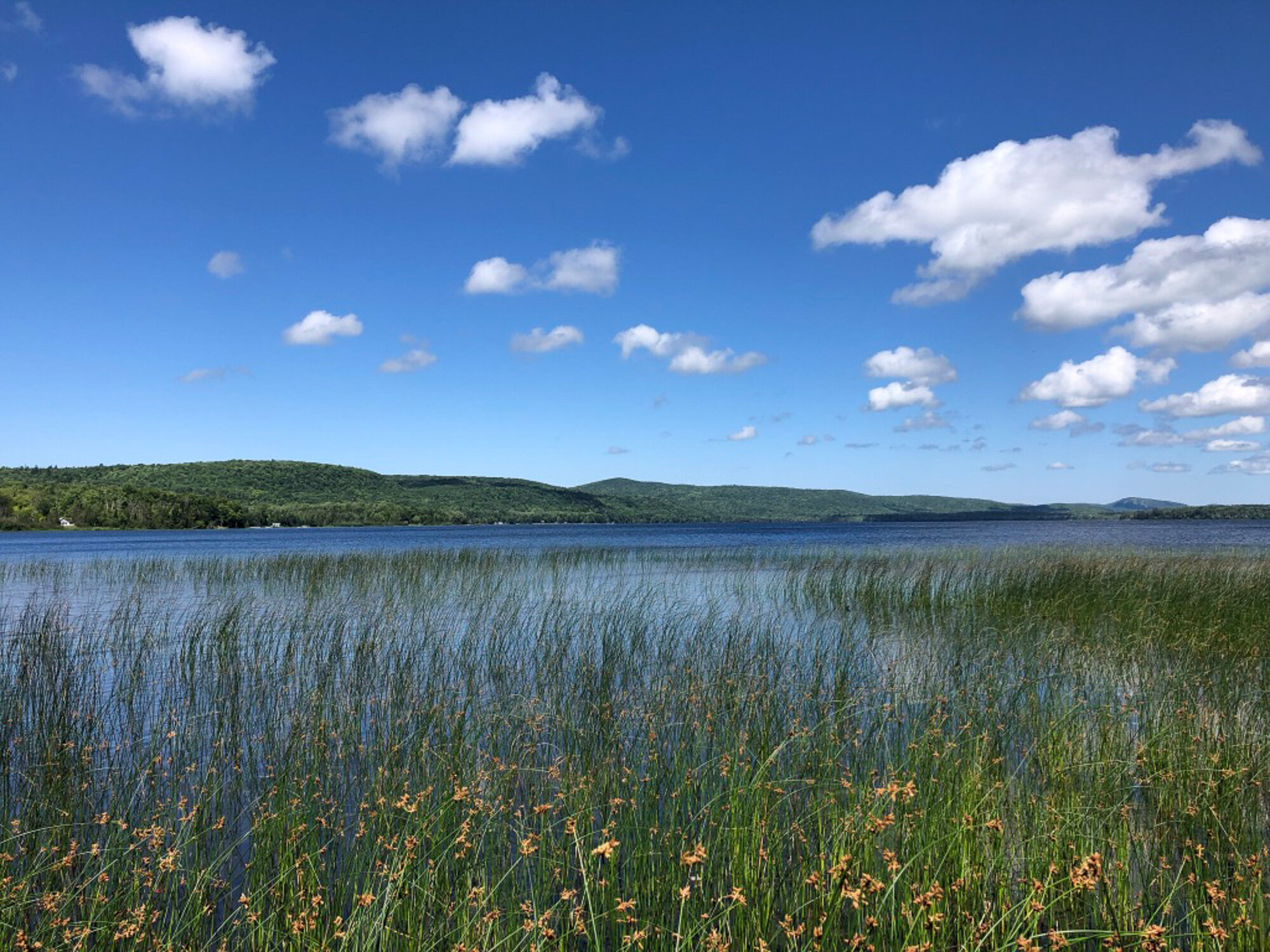   The view from a stretch of sandy shoreline on the west end of Gratiot Lake, acquired by GLC in 2014-2016. Natural shoreline owned by GLC is open to the public for hiking and accessible from the water by boat.  