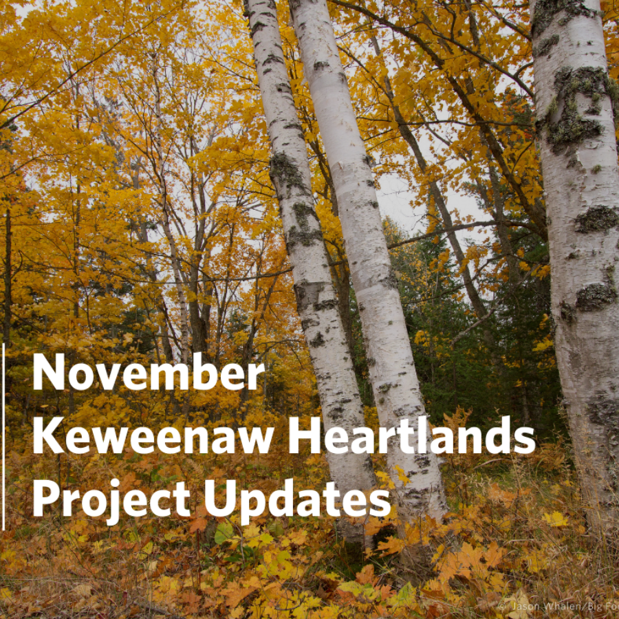 Heartlands Update Meeting, Seasonal Reminder