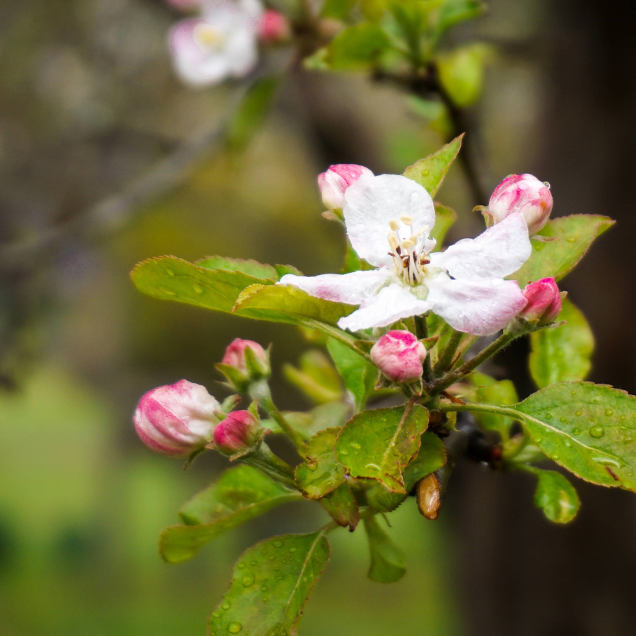 KCF Launches Spring 2025 Grants and Scholarships: Empowering Local Communities and Students