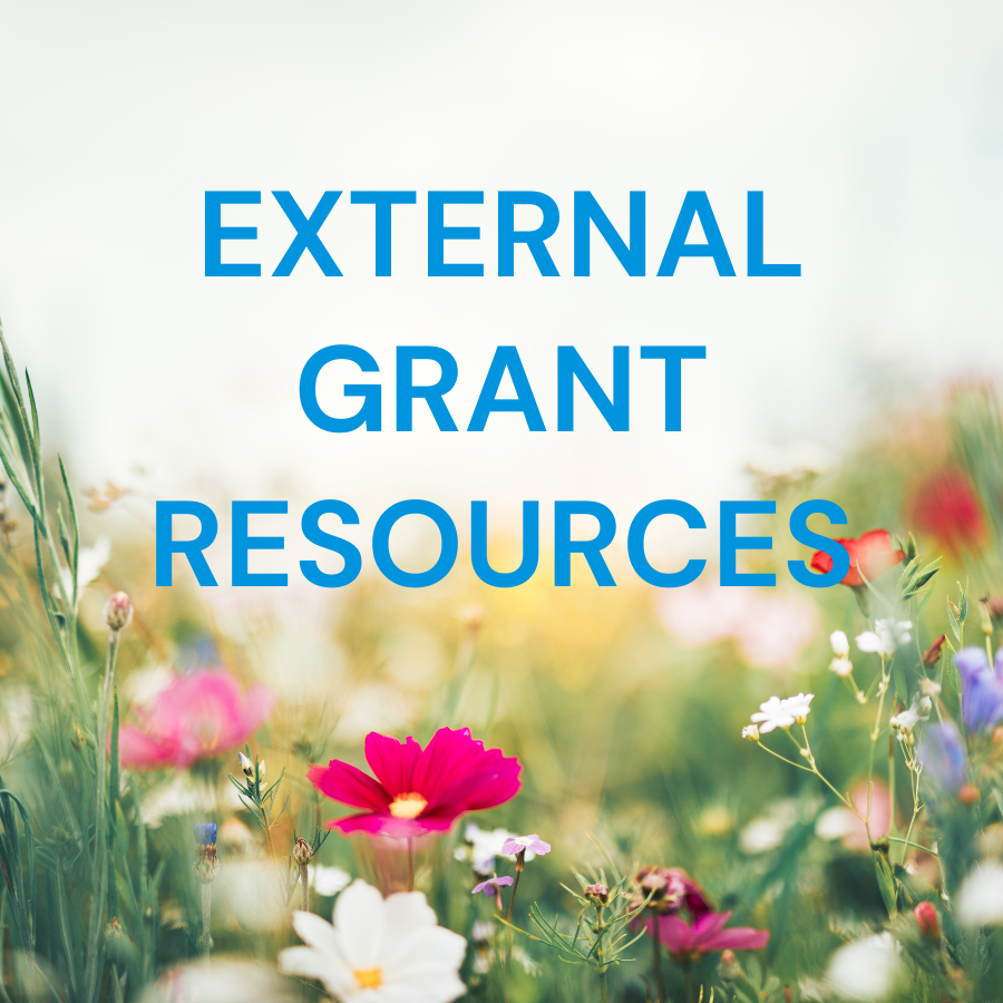 Explore Grant Opportunities and Professional Development Resources for Nonprofits