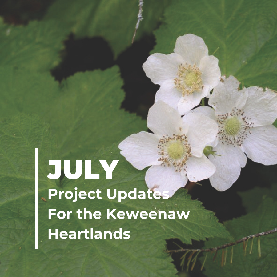 Keweenaw Heartlands – Exciting progress underway!