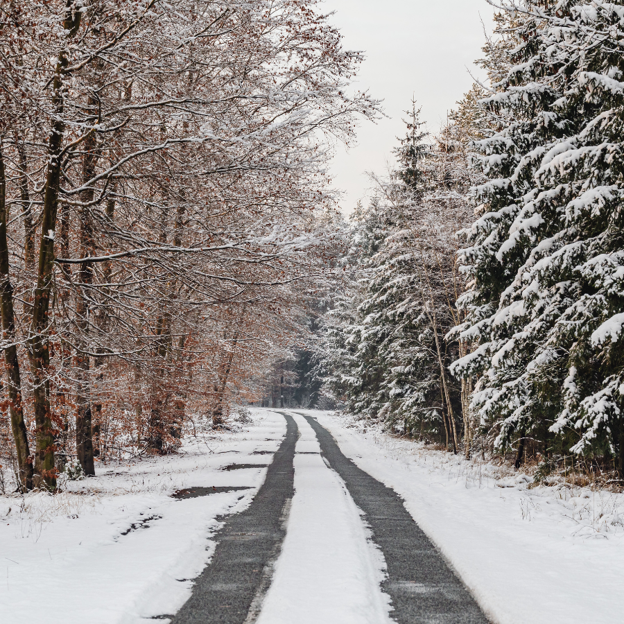 Check Out Our December Newsletter