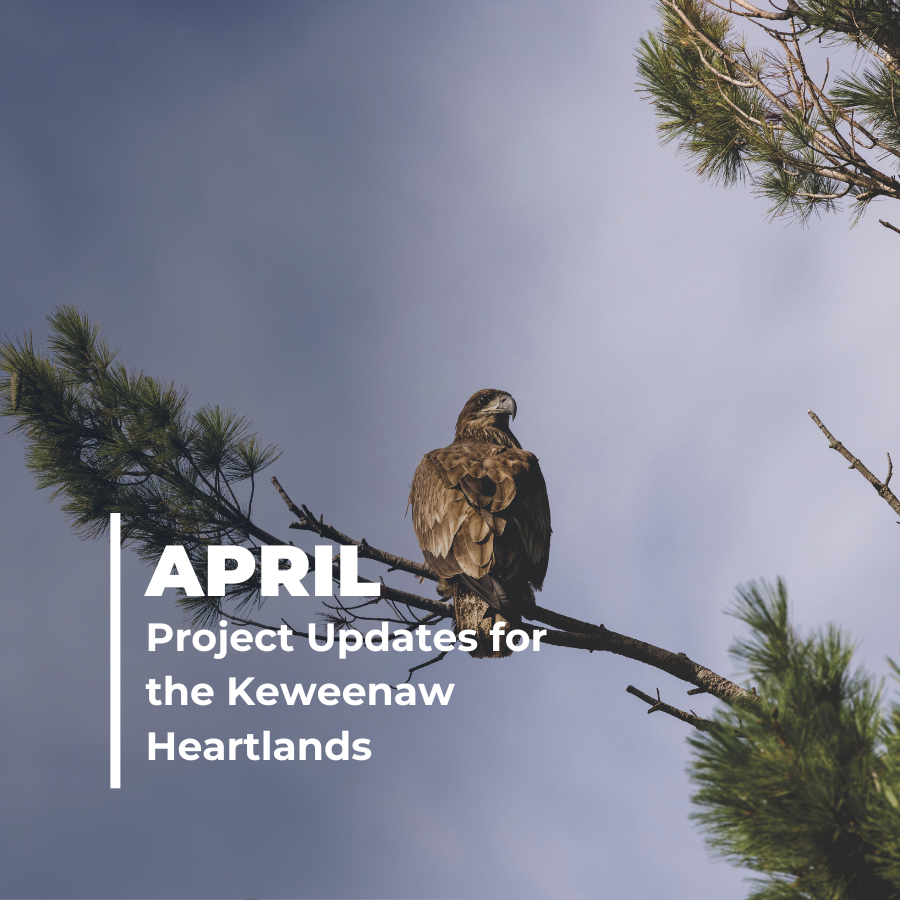 Participate in the Keweenaw Heartlands Project!