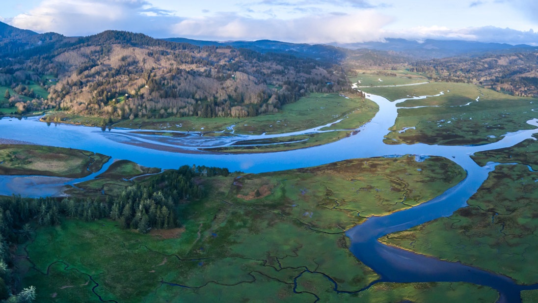   The Salmon River and its restored estuary  