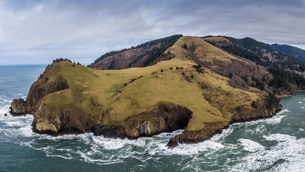   The native prairie meadows of Cascade Head stretch 2 miles out to sea  