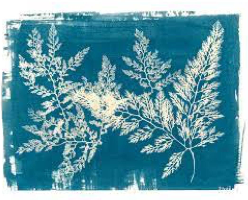 “Forests of the Sea” Art and education workshop 