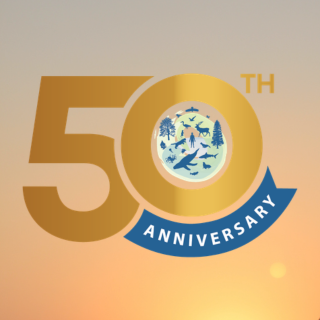 50th Anniversary Celebration