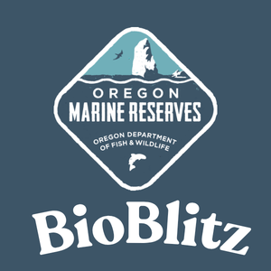 BioBlitz - Oregon Marine Reserves and MPAs