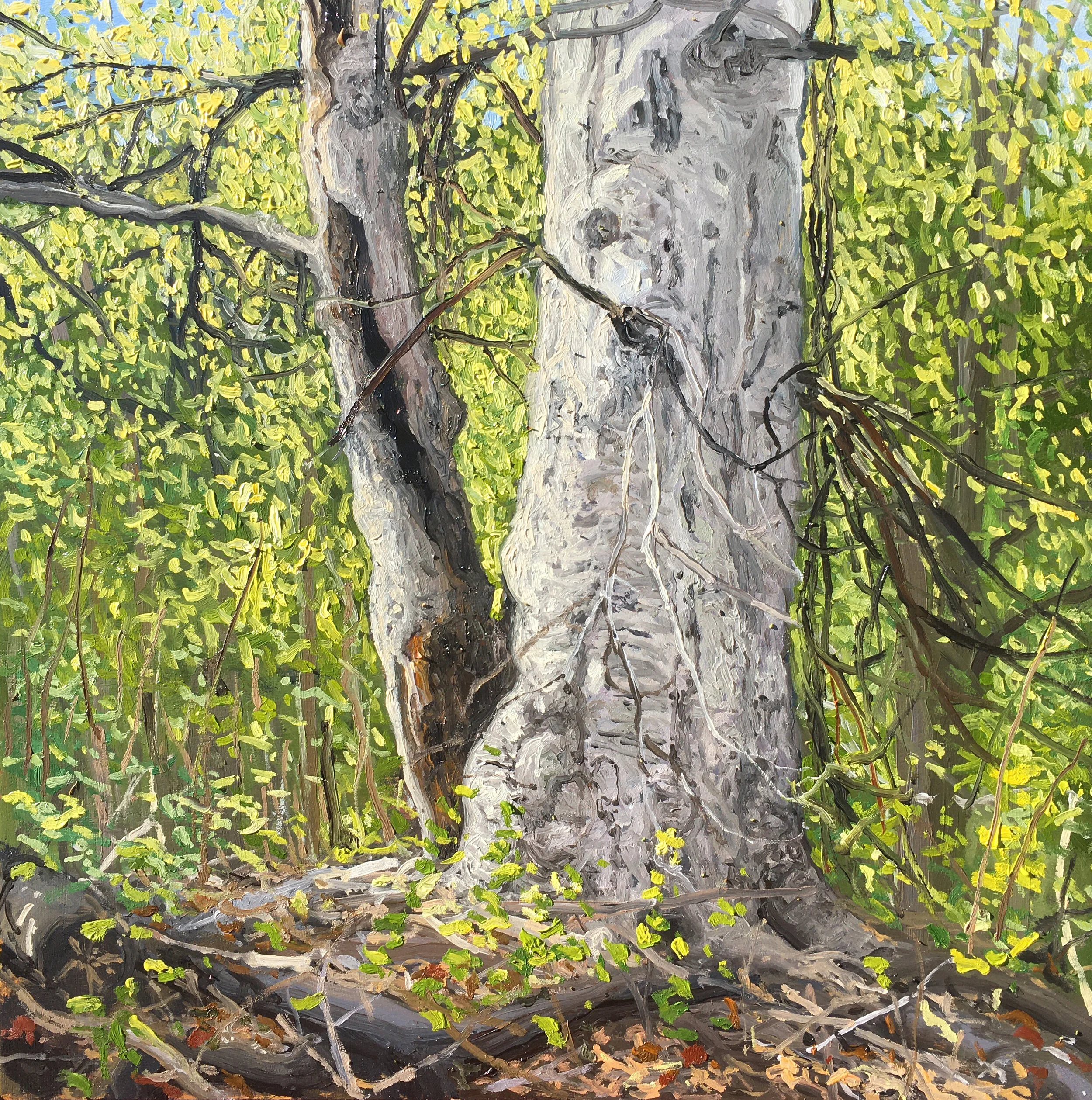   “Forestry - 11”   oil on wood, h 12” x w 12”, 2020  