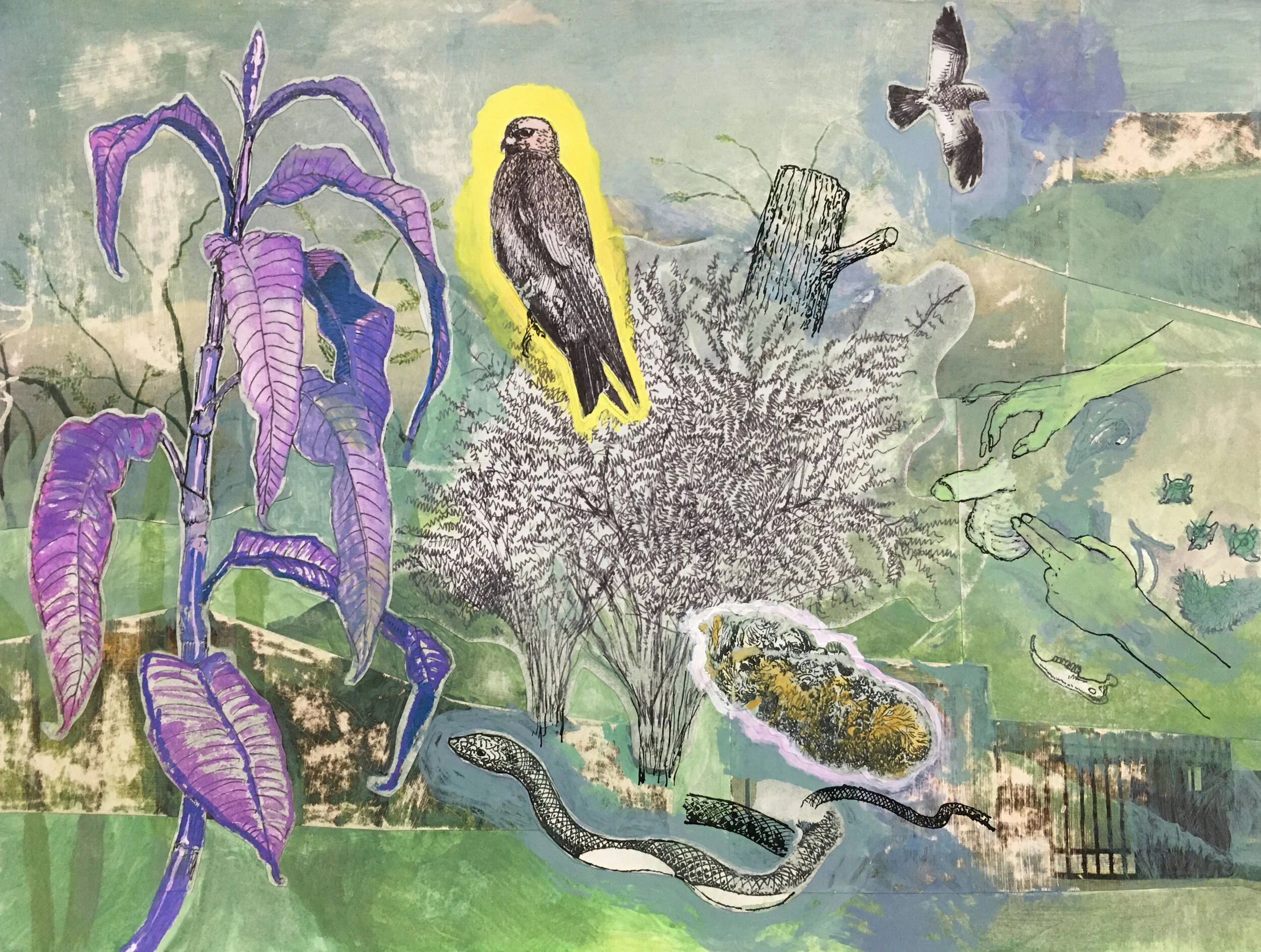  “Hawk and Snake” ink, gouache &amp; collage on paper, h 9” x w 12”, 2020 
