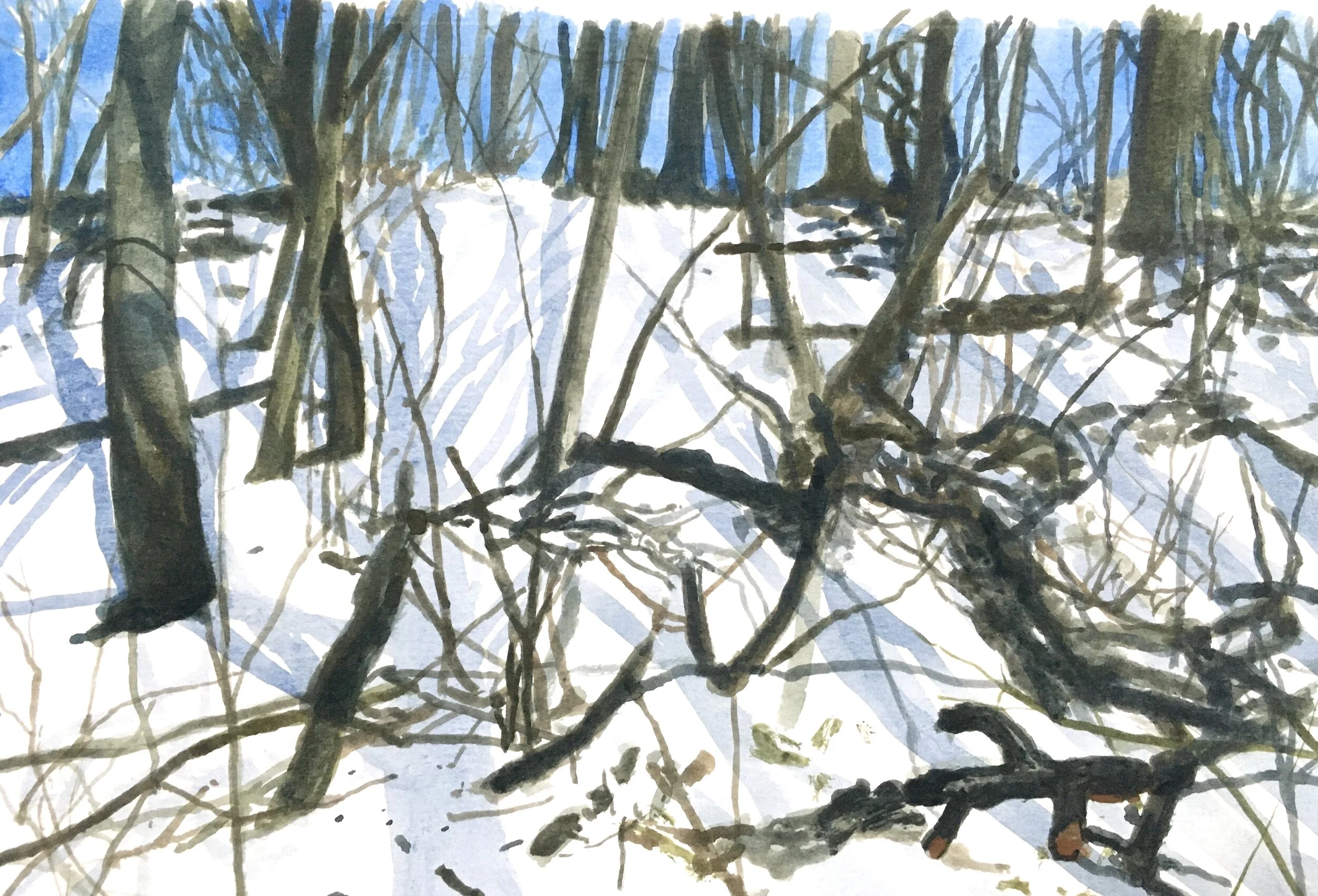  “Forest 01” gouache on paper, h 5.5 x w 7.5, 2020 