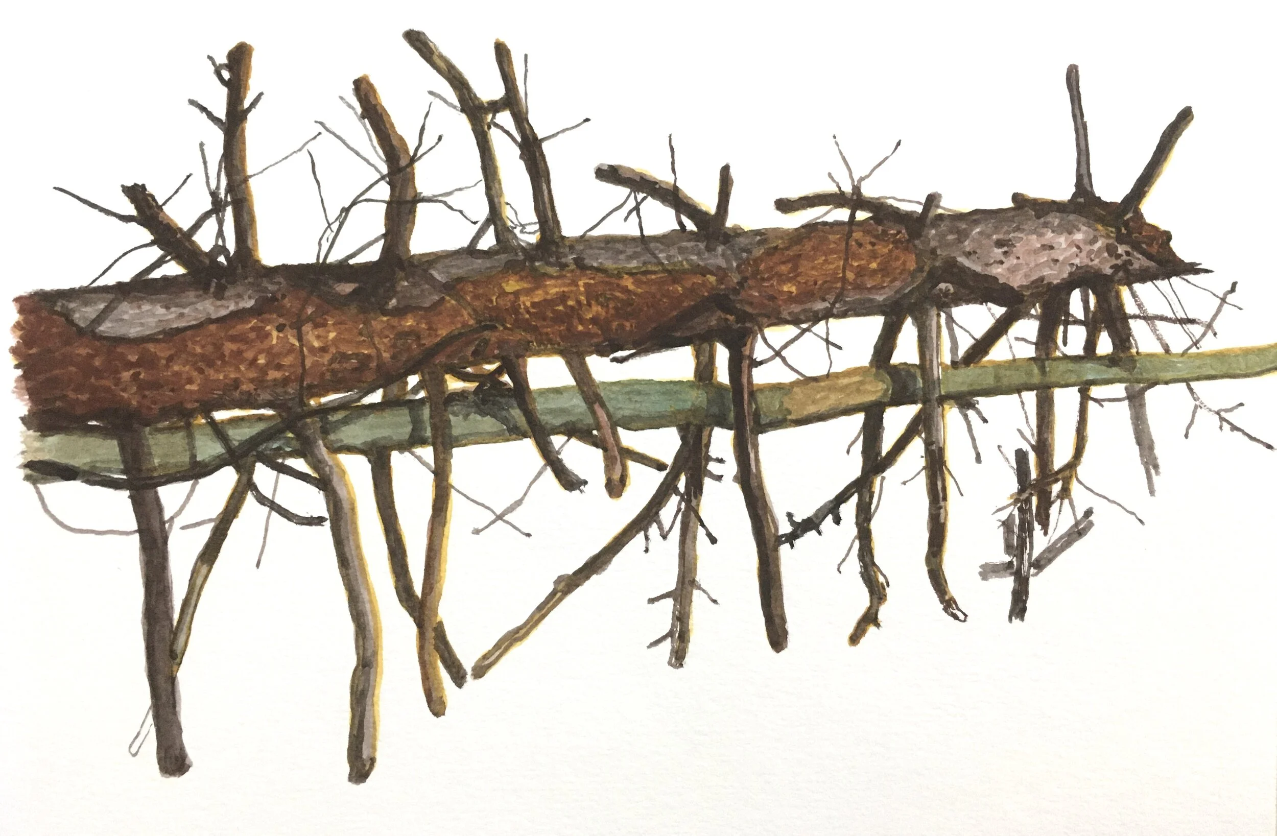  “Forest 04”  gouache on paper, h 5.5” x w 7.5”, 2020 