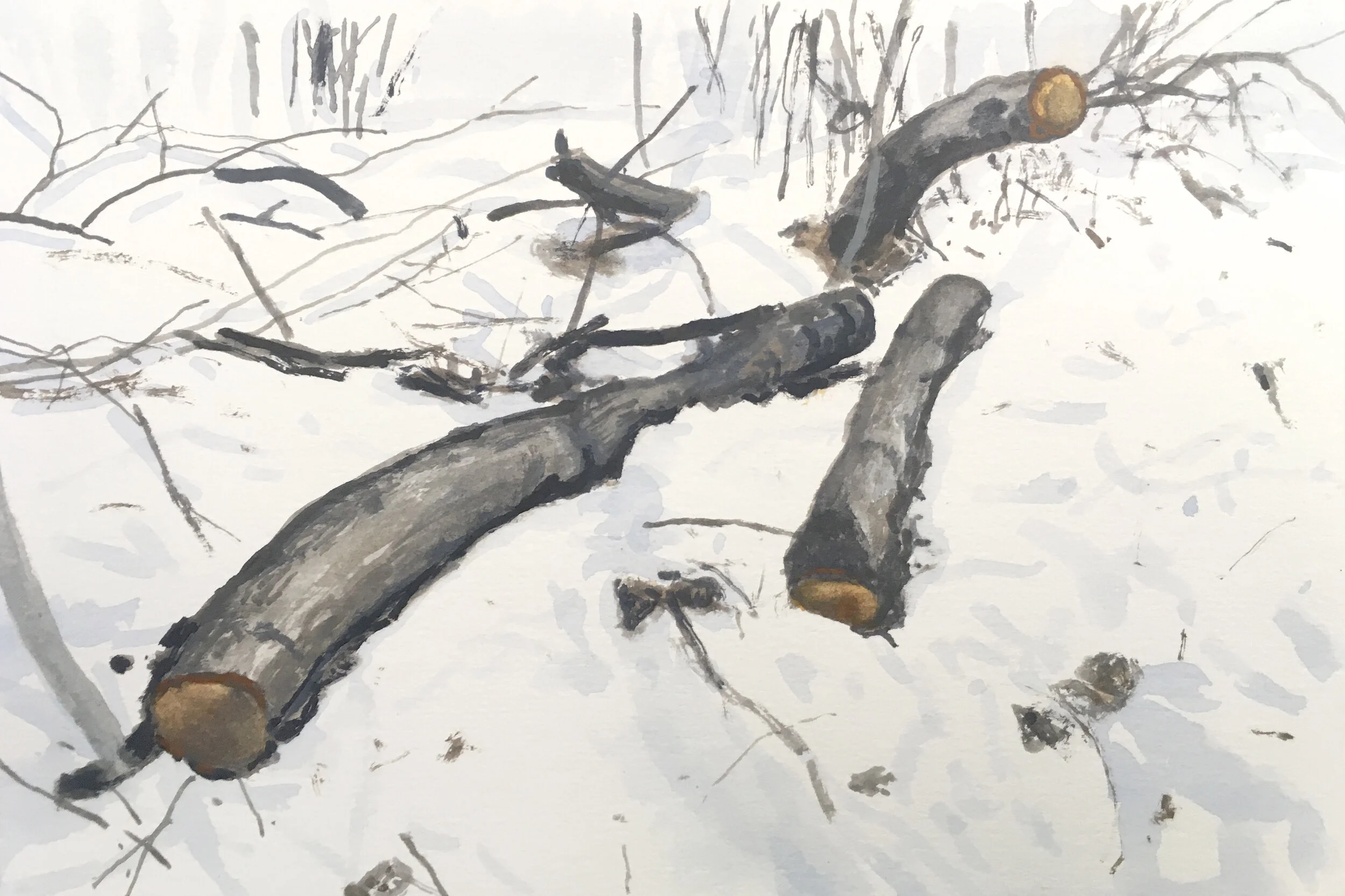  “Forest 02” gouache on paper, h 5.5” x w 7.5”, 2020 