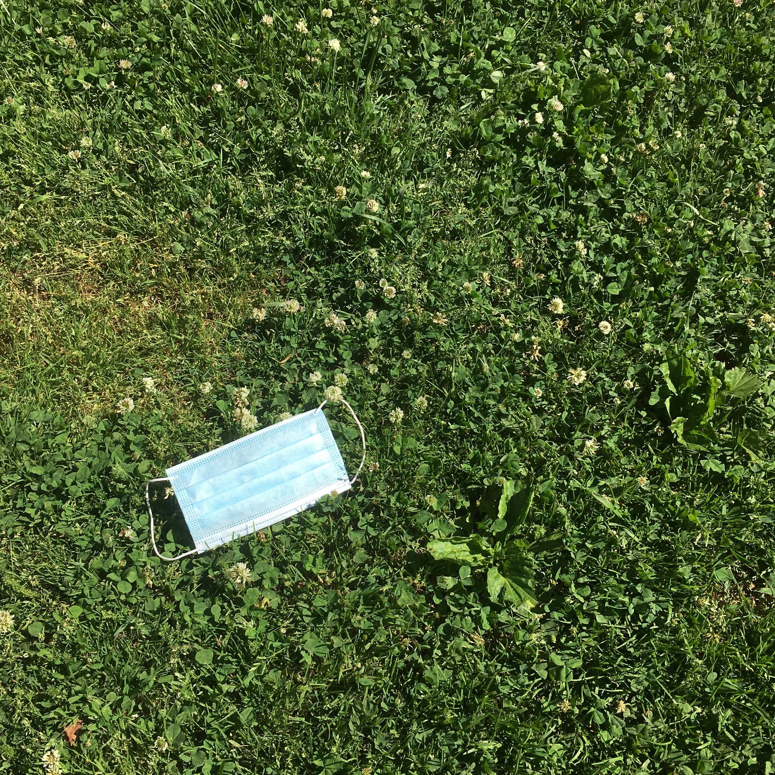  “New Litter - 1” digital photograph, 2020 