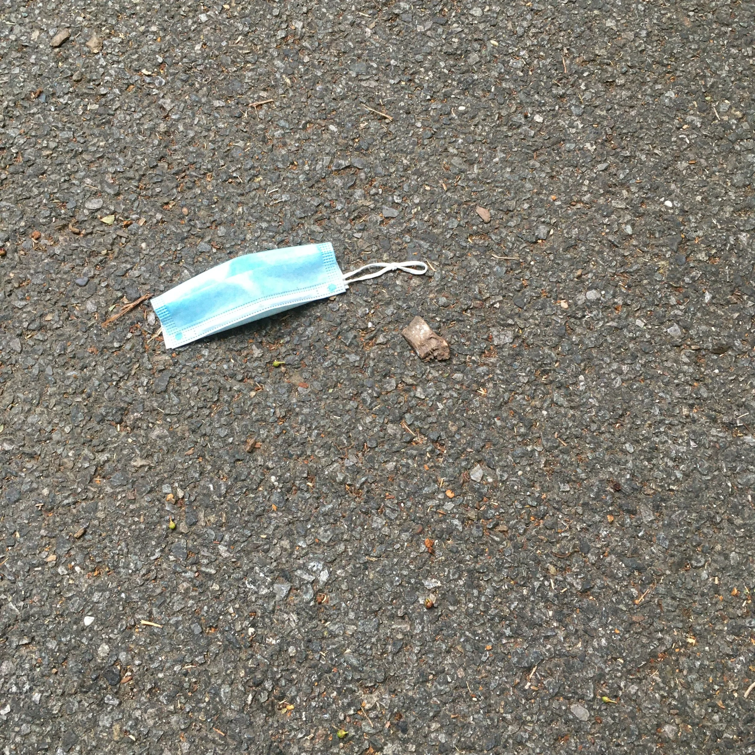  “New Litter - 2” digital photograph, 2020 