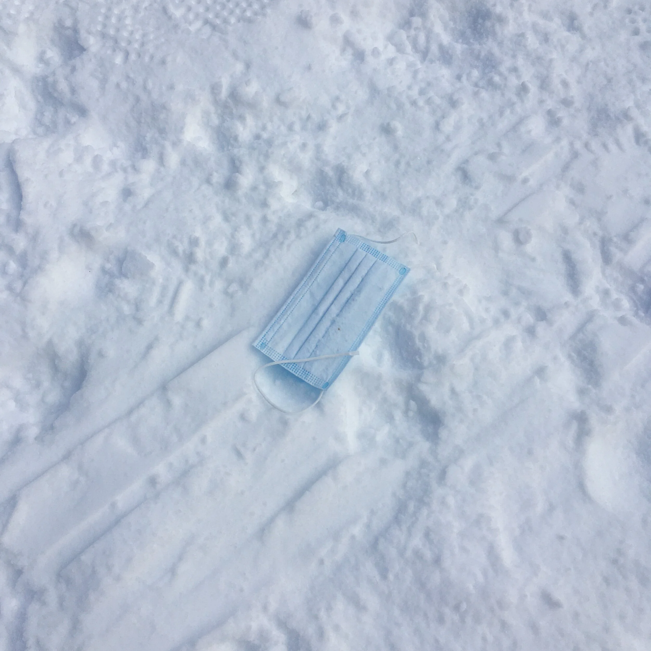  “New Litter - 4” digital photograph, 2020 