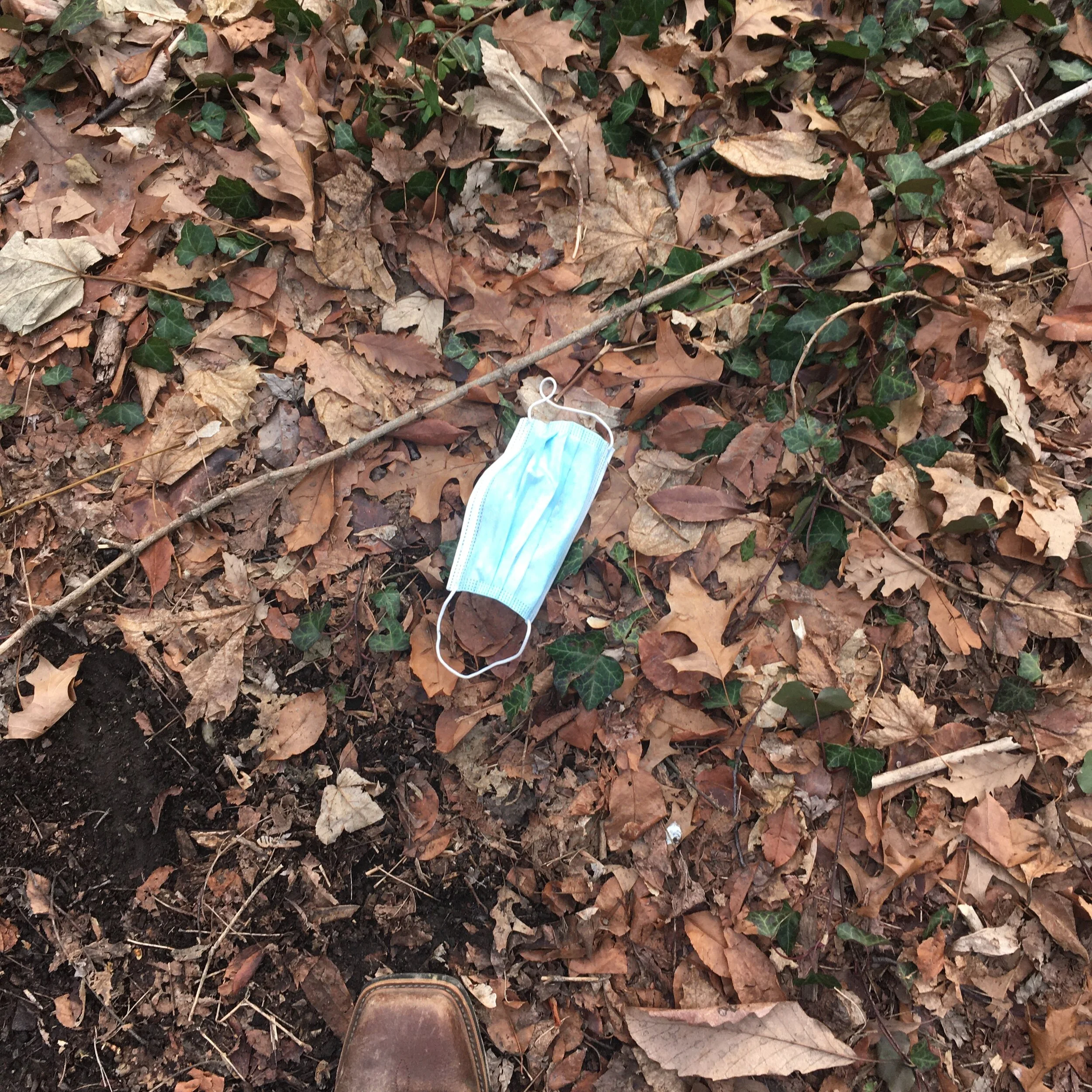  “New Litter - 3” digital photograph, 2020 