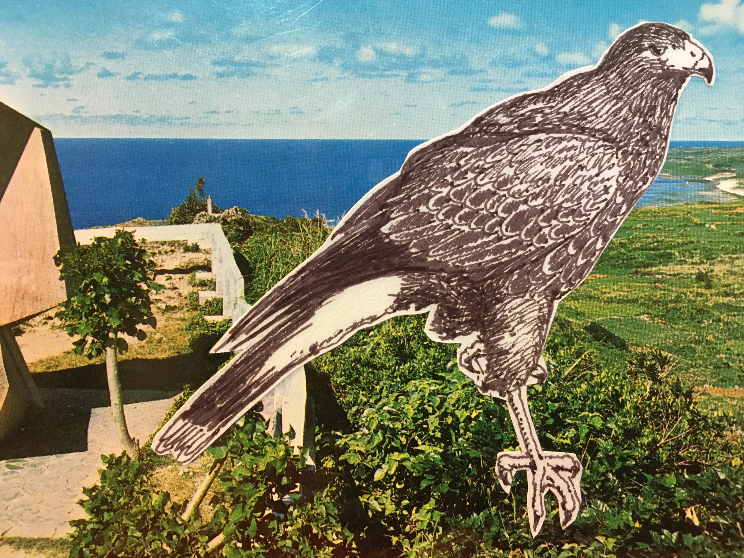  “Postcard - 02” collage, ink, postcard, h 3.5” x w 5.5”, 2020 