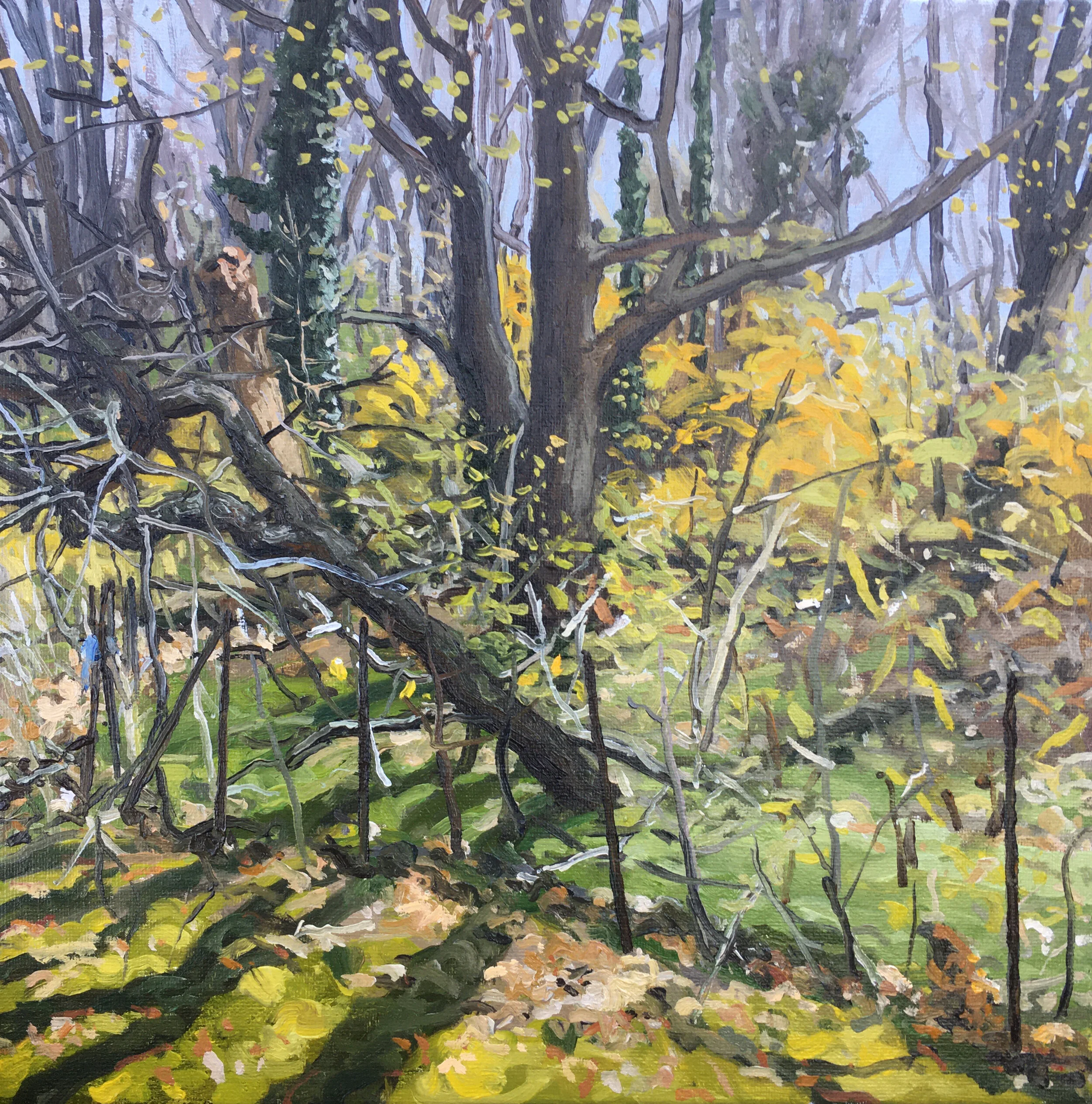  “Prospect Park, Brooklyn” oil on wood, h 12” x w 12”, 2020 