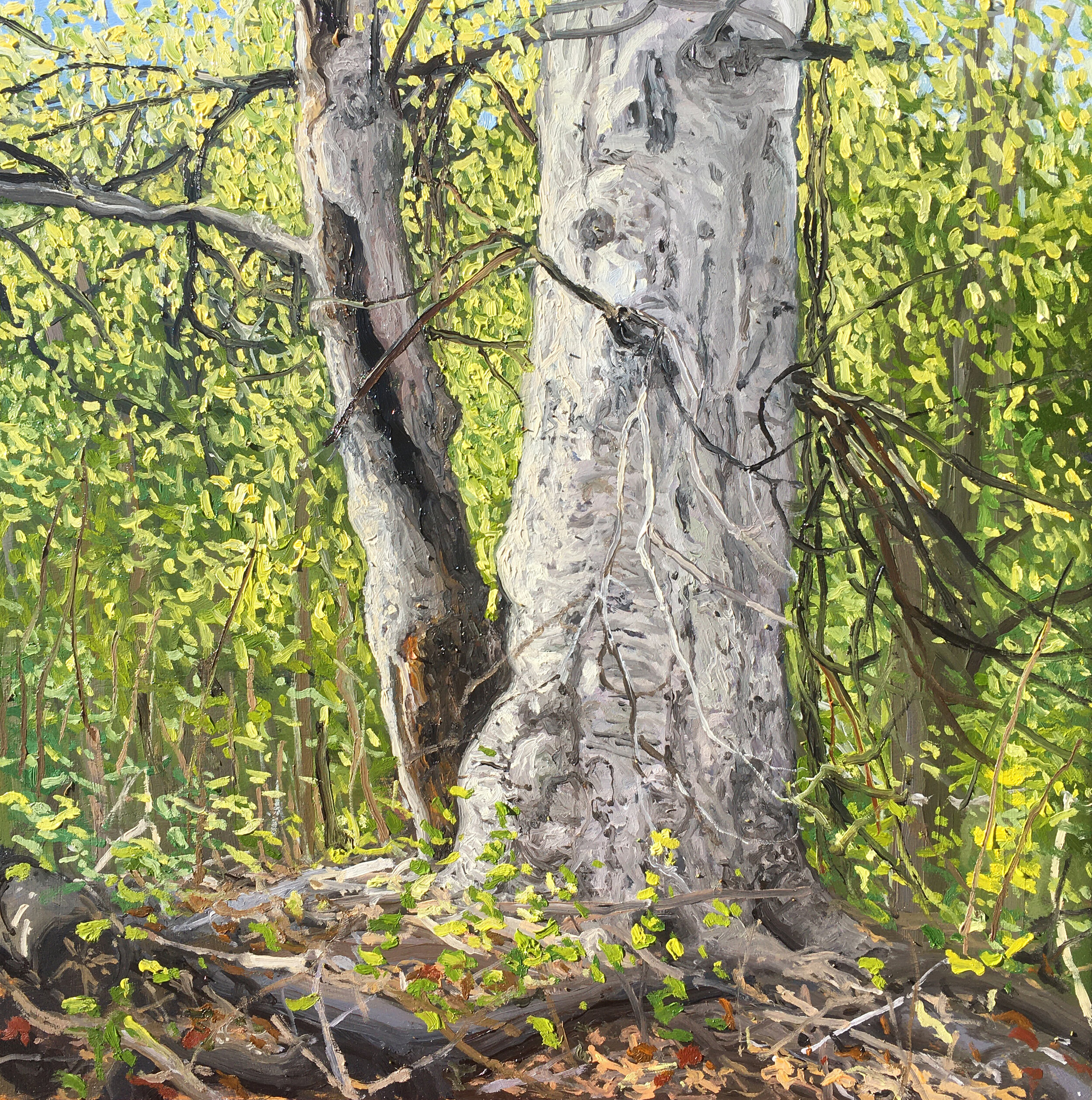  “Prospect Park, Brooklyn” oil on wood, h 12” x w 12”, 2020 