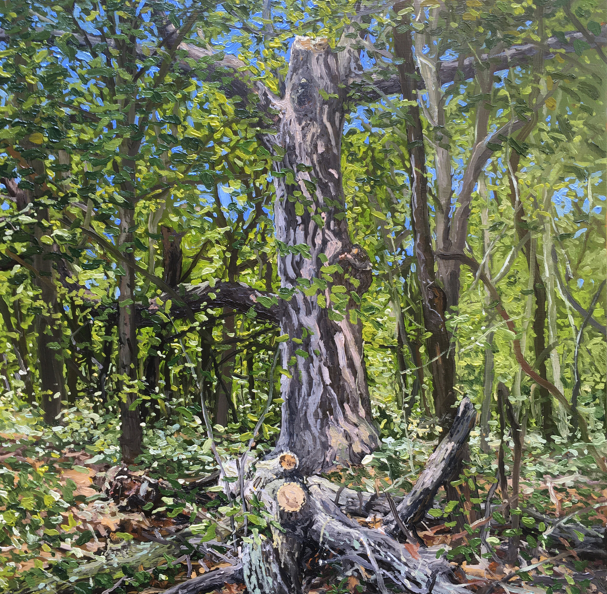  “Prospect Park, Brooklyn” oil on wood, h 12” x w 12”, 2020 