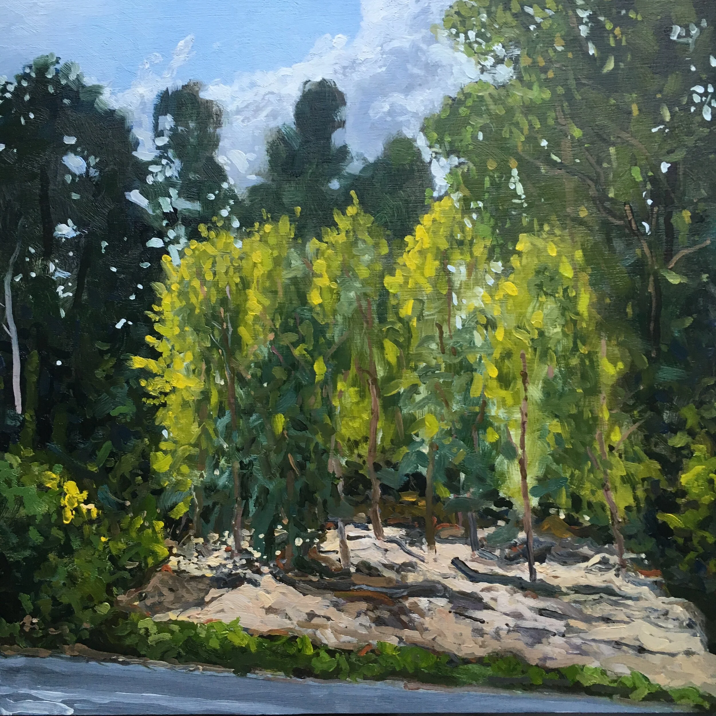  “Forestry - 01” oil on wood, h 12” x w 12”, 2018 