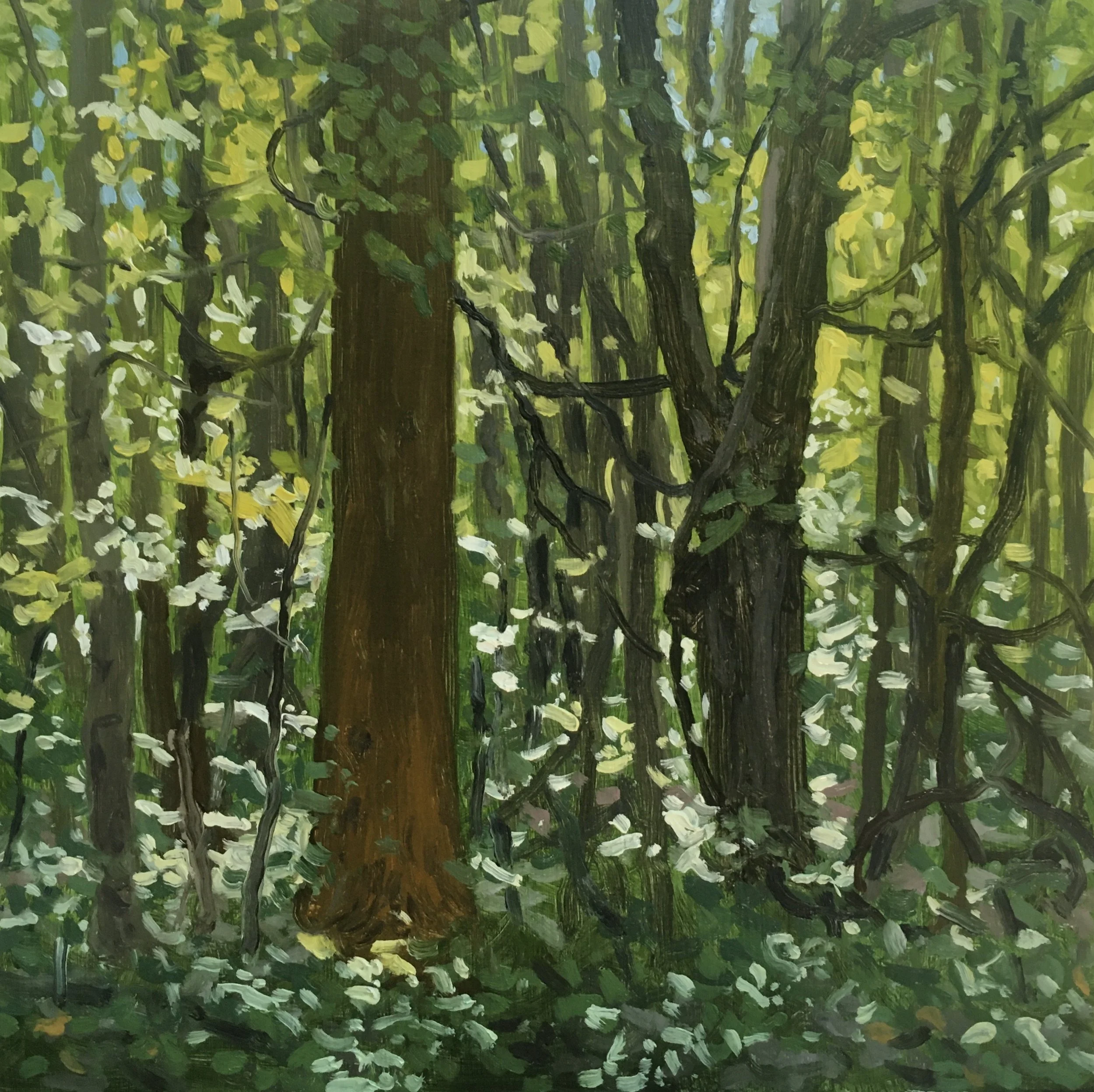  “Painting 54, Michigan-2021-02” Warren Woods - Three Oaks, MI oil on wood, h 8” x w 8”, 2021 