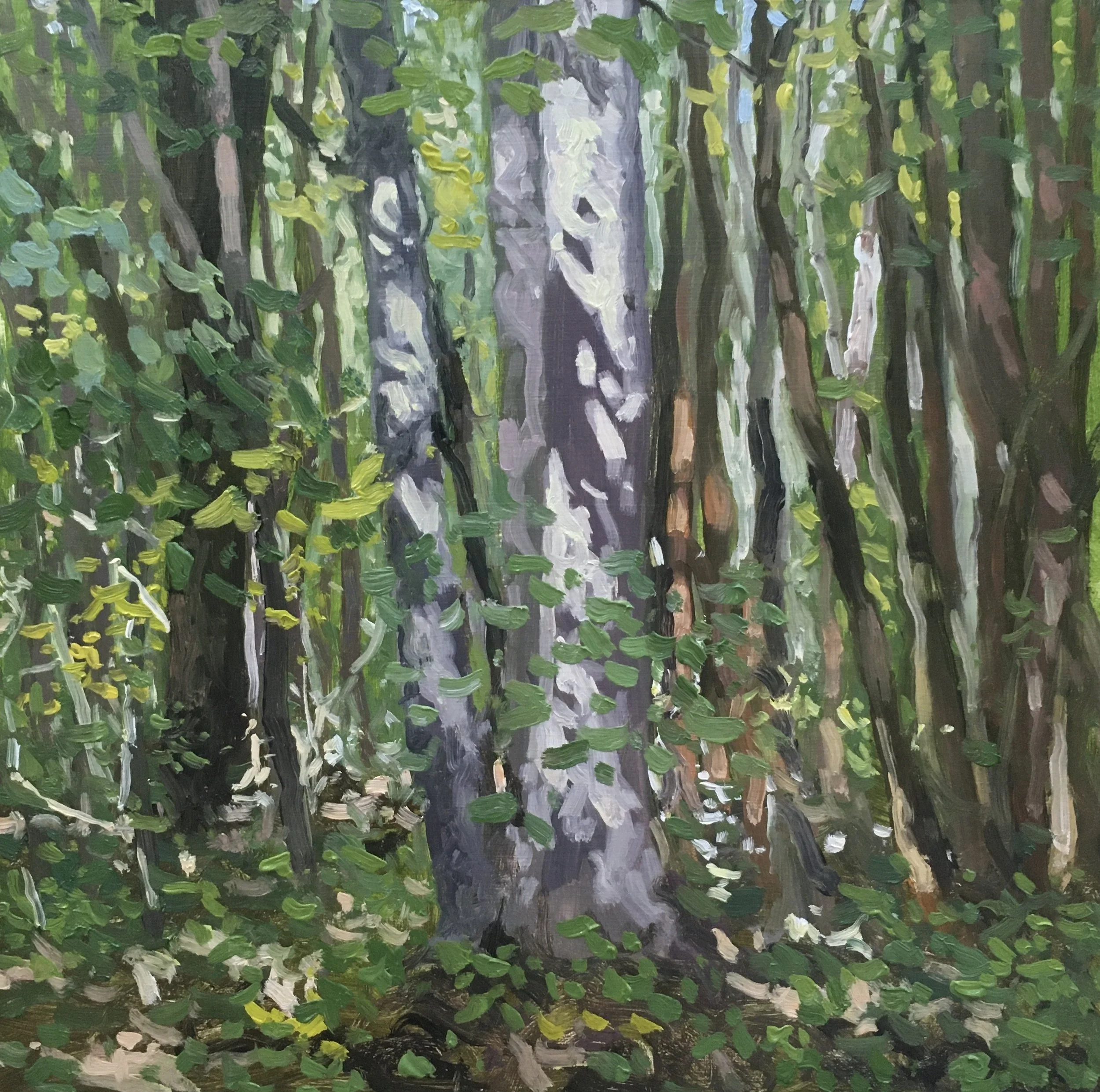  “Painting 55, Michigan-2021-03” Warren Woods - Three Oaks, MI oil on wood, h 8” x w 8”, 2021 