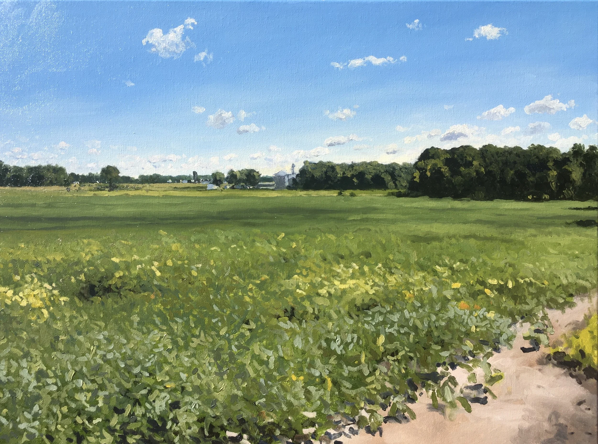  “Painting 57, Michigan-2021-05” Soybean Field - Three Oaks, MI oil on canvas, h 18” x w 24”, 2021 