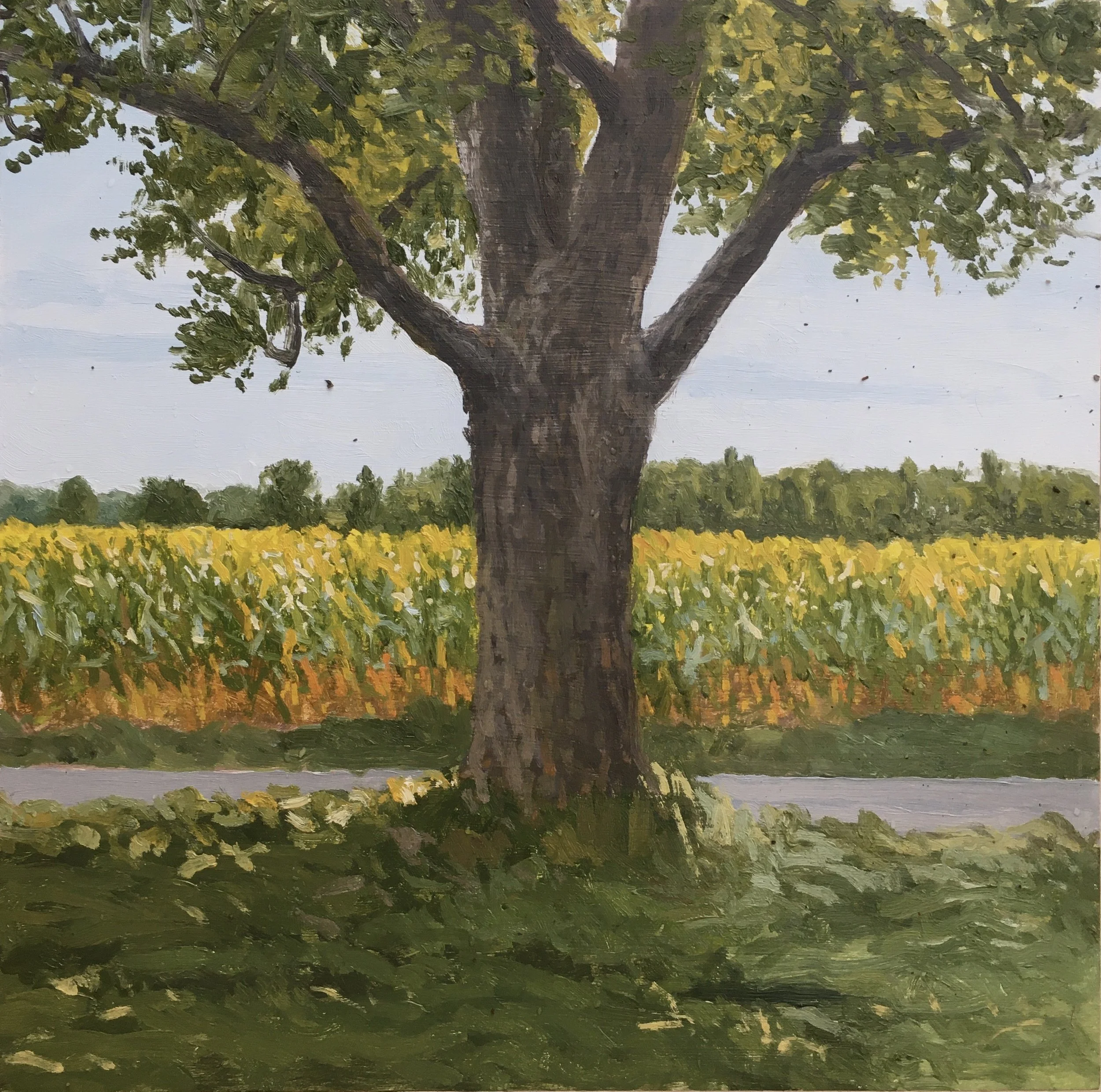  “Painting 68, Michigan-2021-16” Corn Field - Three Oaks, MI oil on wood, h 12” x w 12”, 2021 