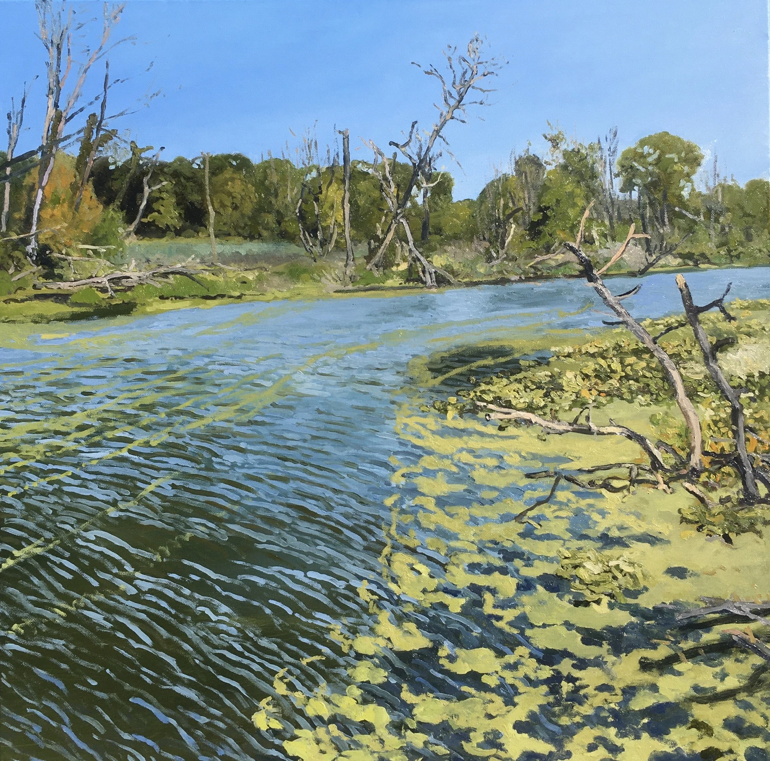  “Painting 69, Michigan-2021-17” Galien River - New Buffalo, MI oil on canvas, h 24” x w 24”, 2021 