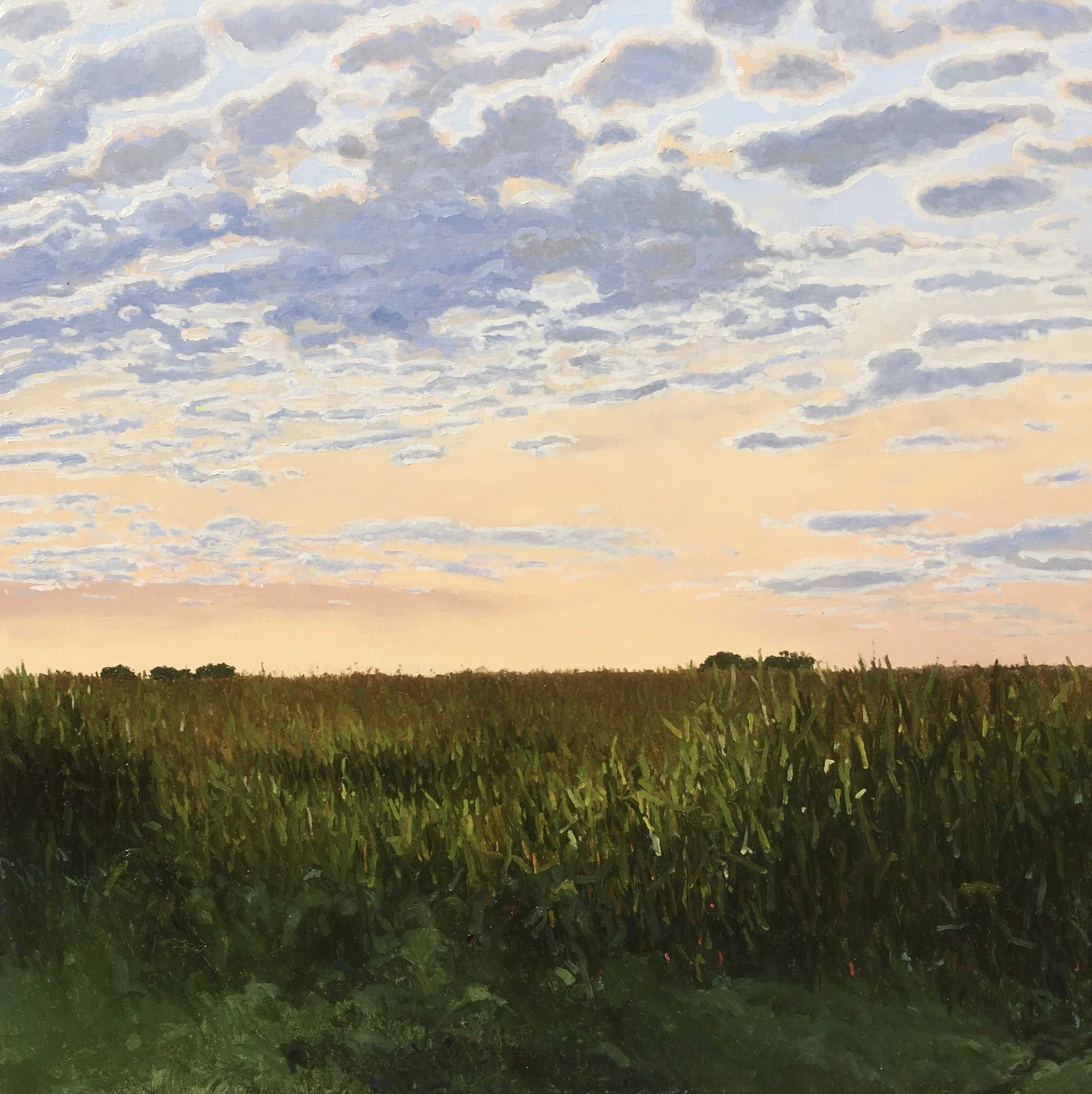  “Painting 71, Michigan-2021-19” Corn Field - Three Oaks, MI oil on canvas, h 30” x w 30”, 2021 