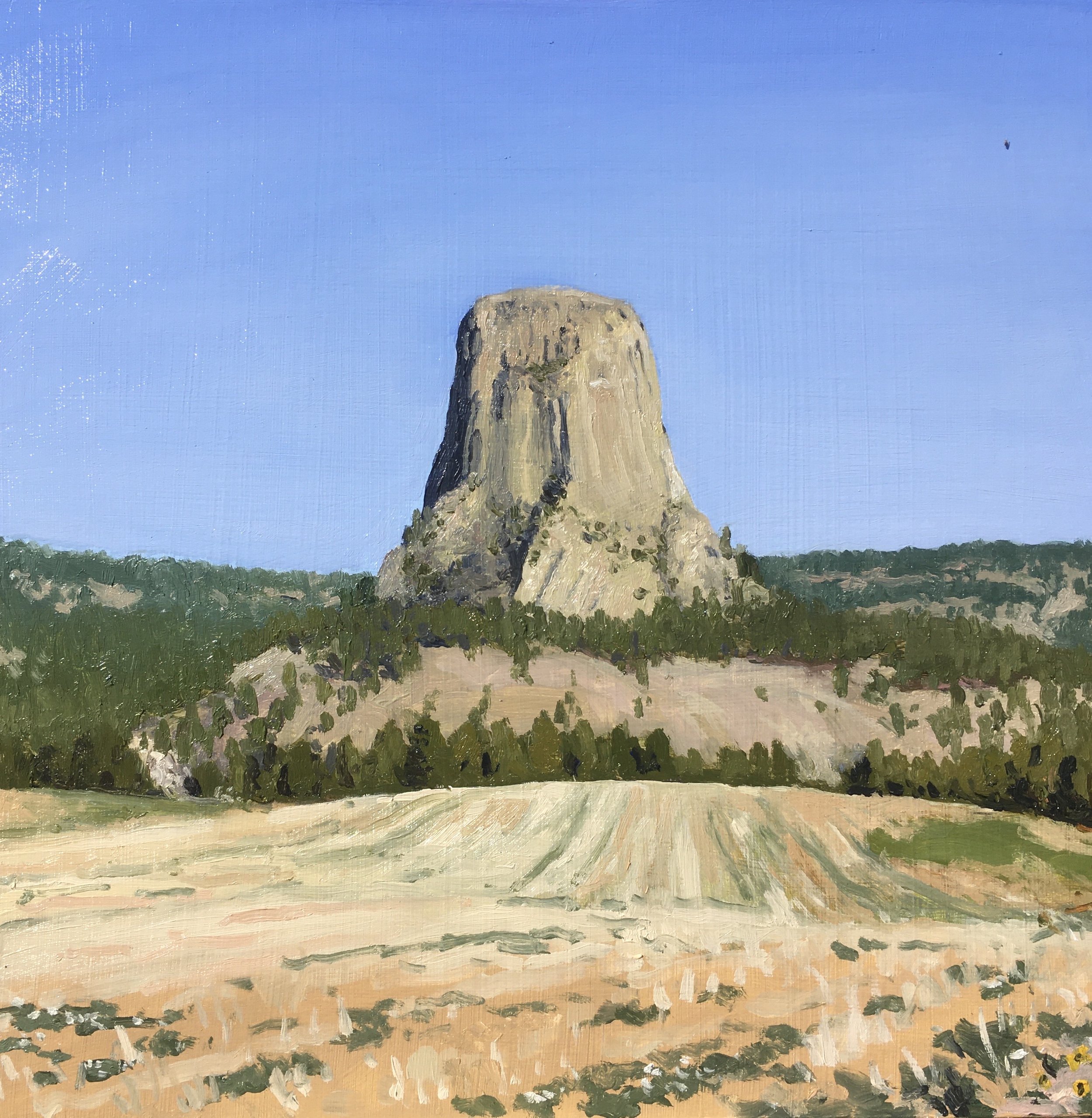 “Painting 80, Devil’s Tower, WY” Monument - Devil’s Tower oil on wood, h 12” x w 12”, 2021 
