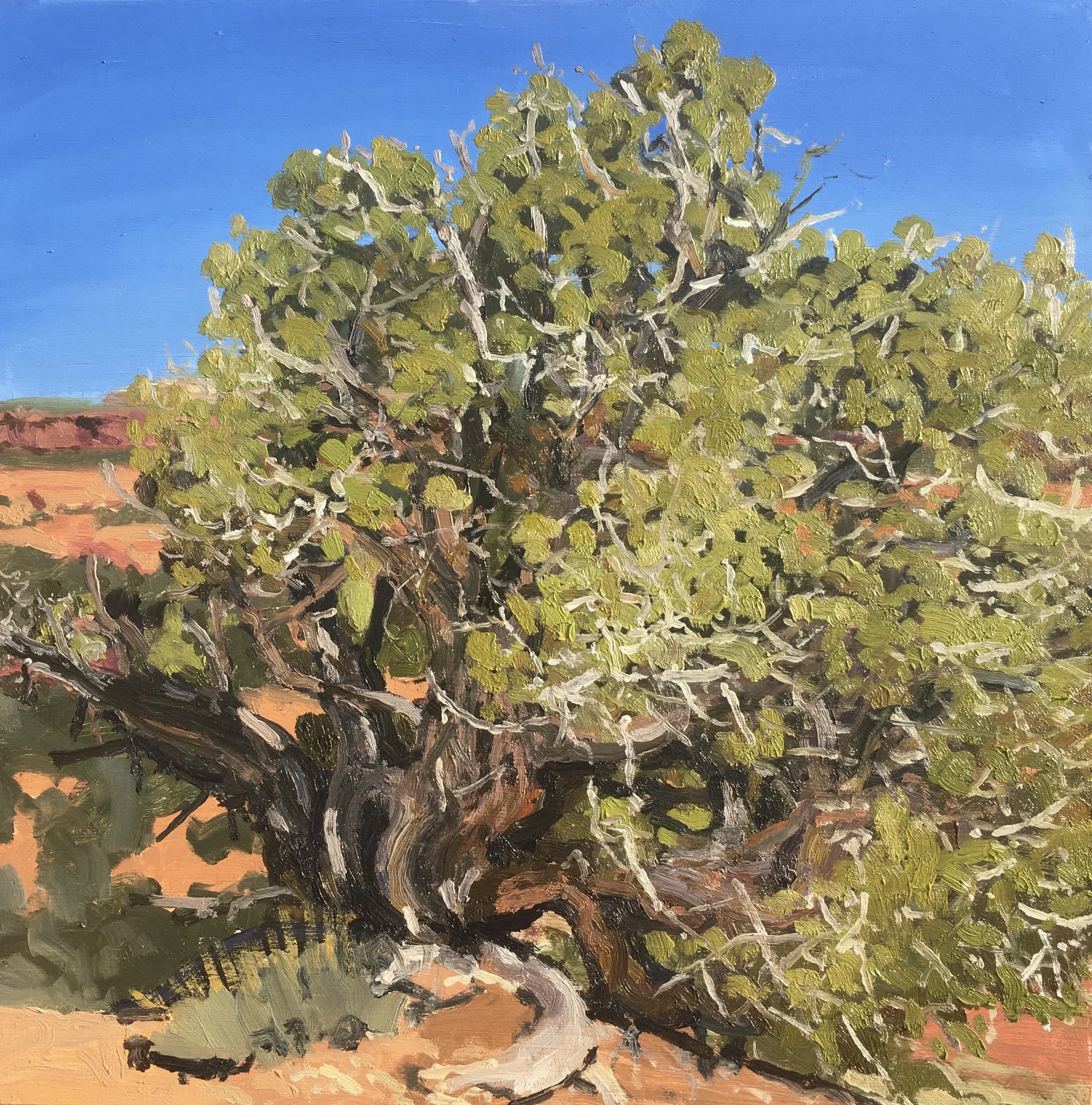  “Painting 104, Utah-2021-24” Burr Trail - GSENM, UT oil on wood, h 12” x w 12”, 2021 