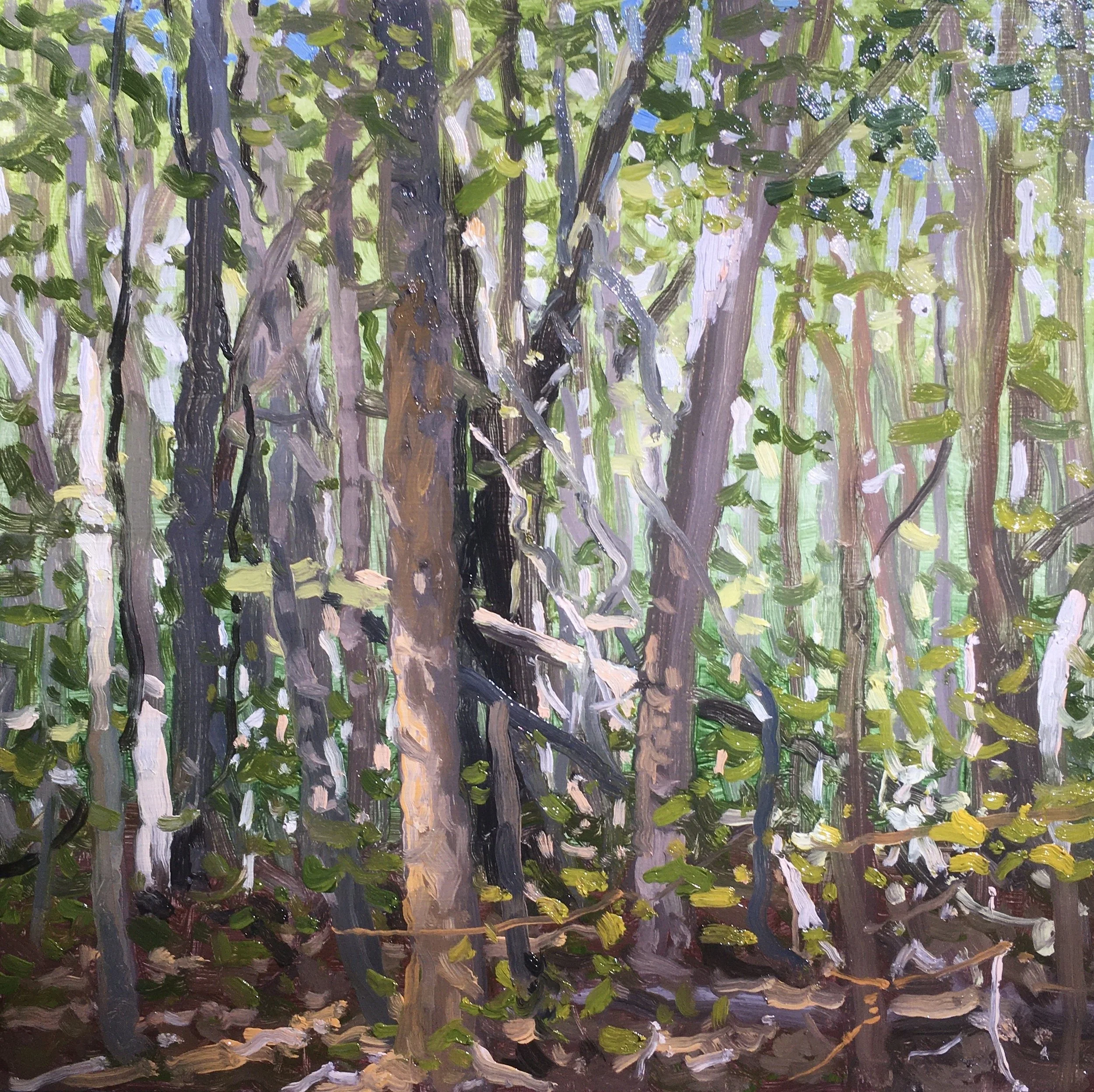  “Painting 53, Michigan-2021-01” Warren Woods - Three Oaks, MI oil on wood, h 8” x w 8”, 2021 