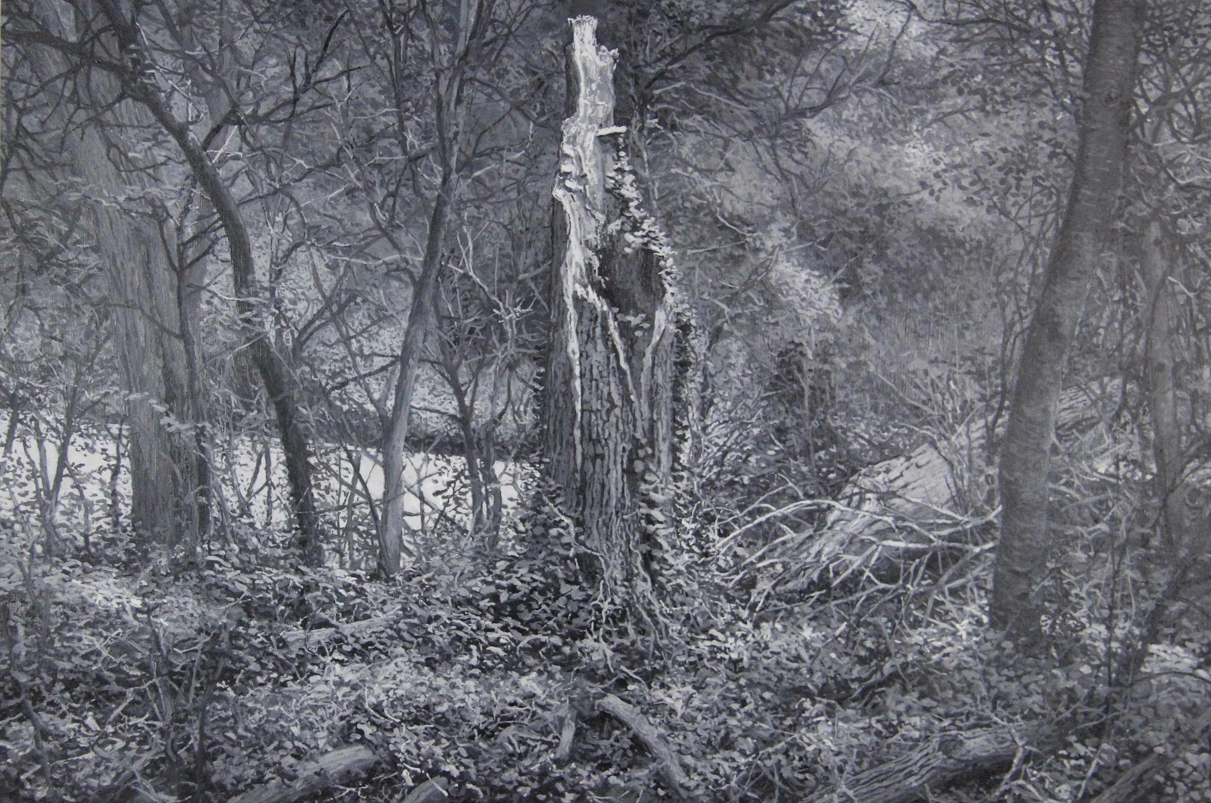  “Stump (BW)” oil on masonite, h 24” x w 36”, 2019 