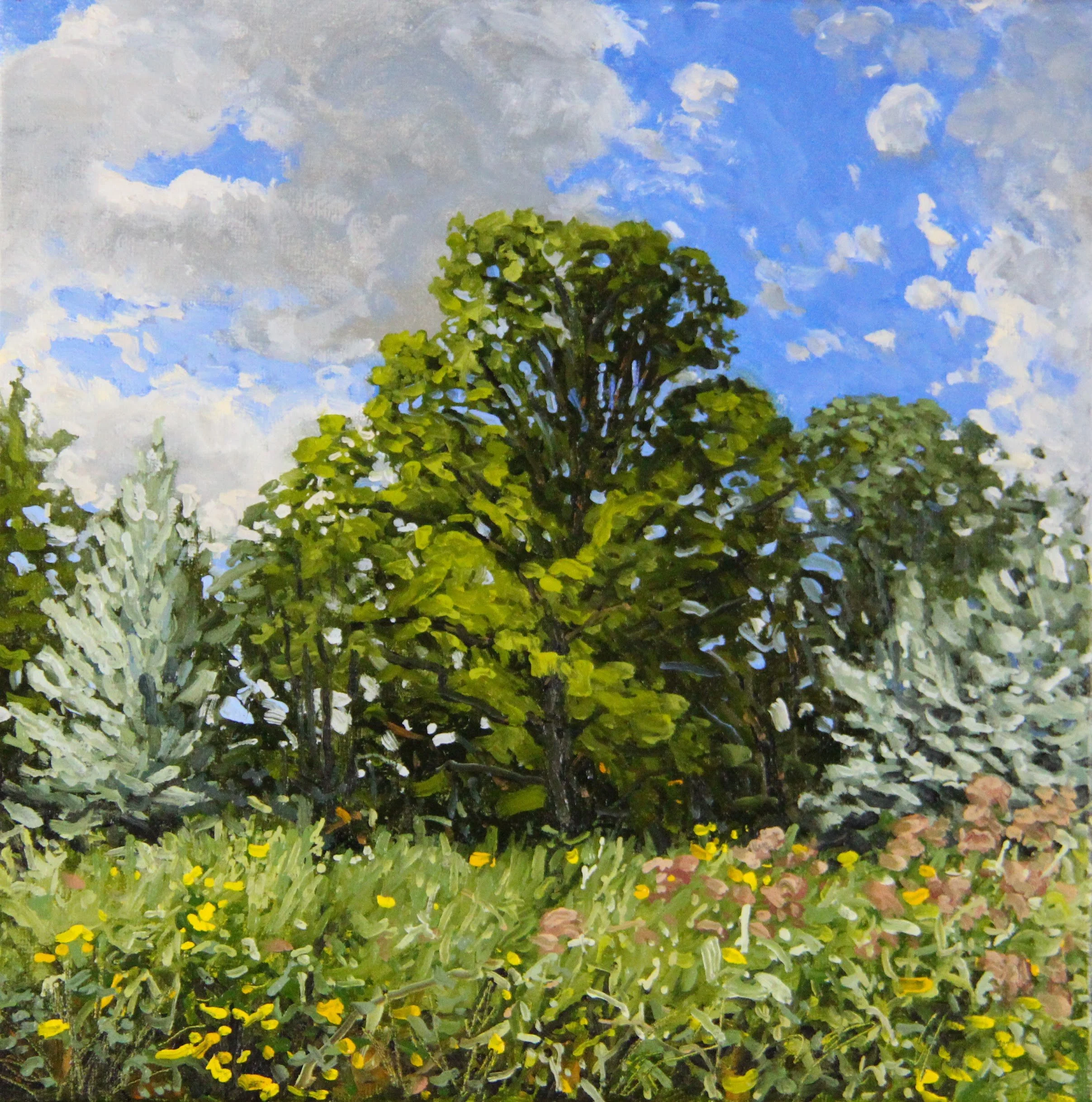  “Forestry - 04” oil on canvas, h 12” x w 12”, 2019 