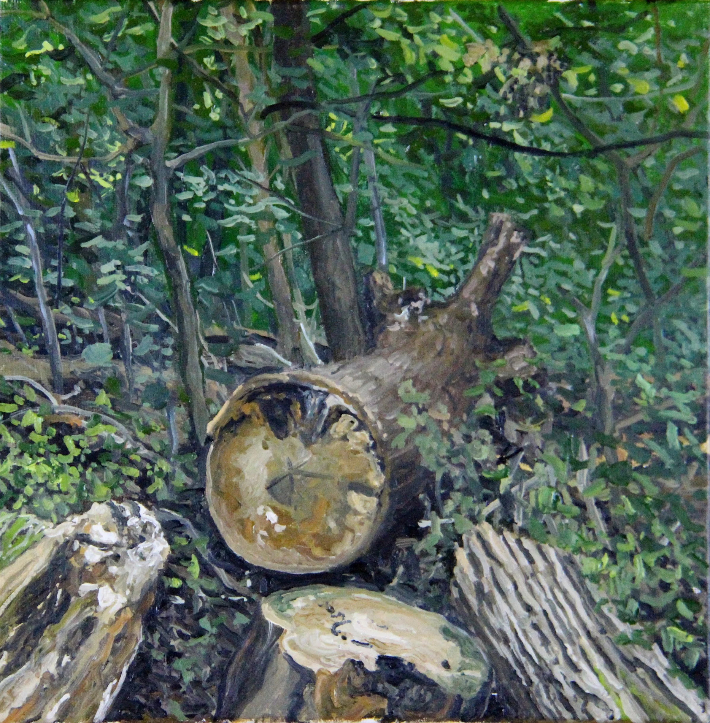  “Forestry - 06” oil on canvas, h 12” x w 12”, 2019 