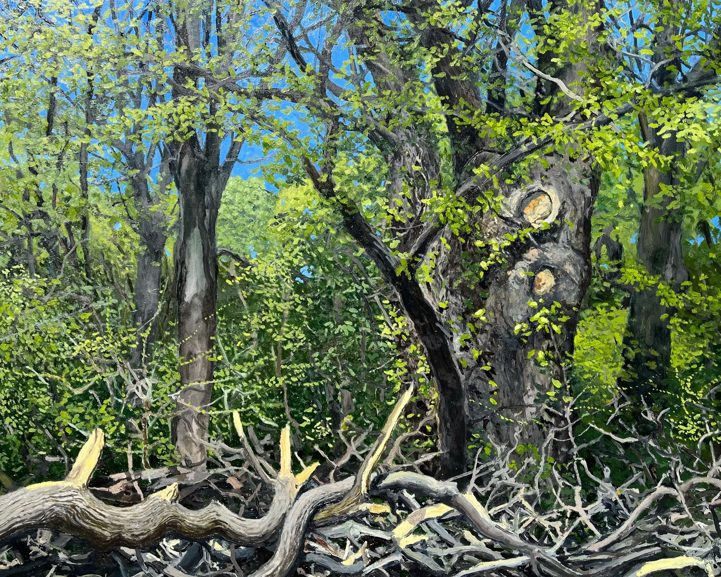  “Forestry - 12” oil on canvas, h 24” x w 30”, 2022 ©  David Nakabayashi - Artist  