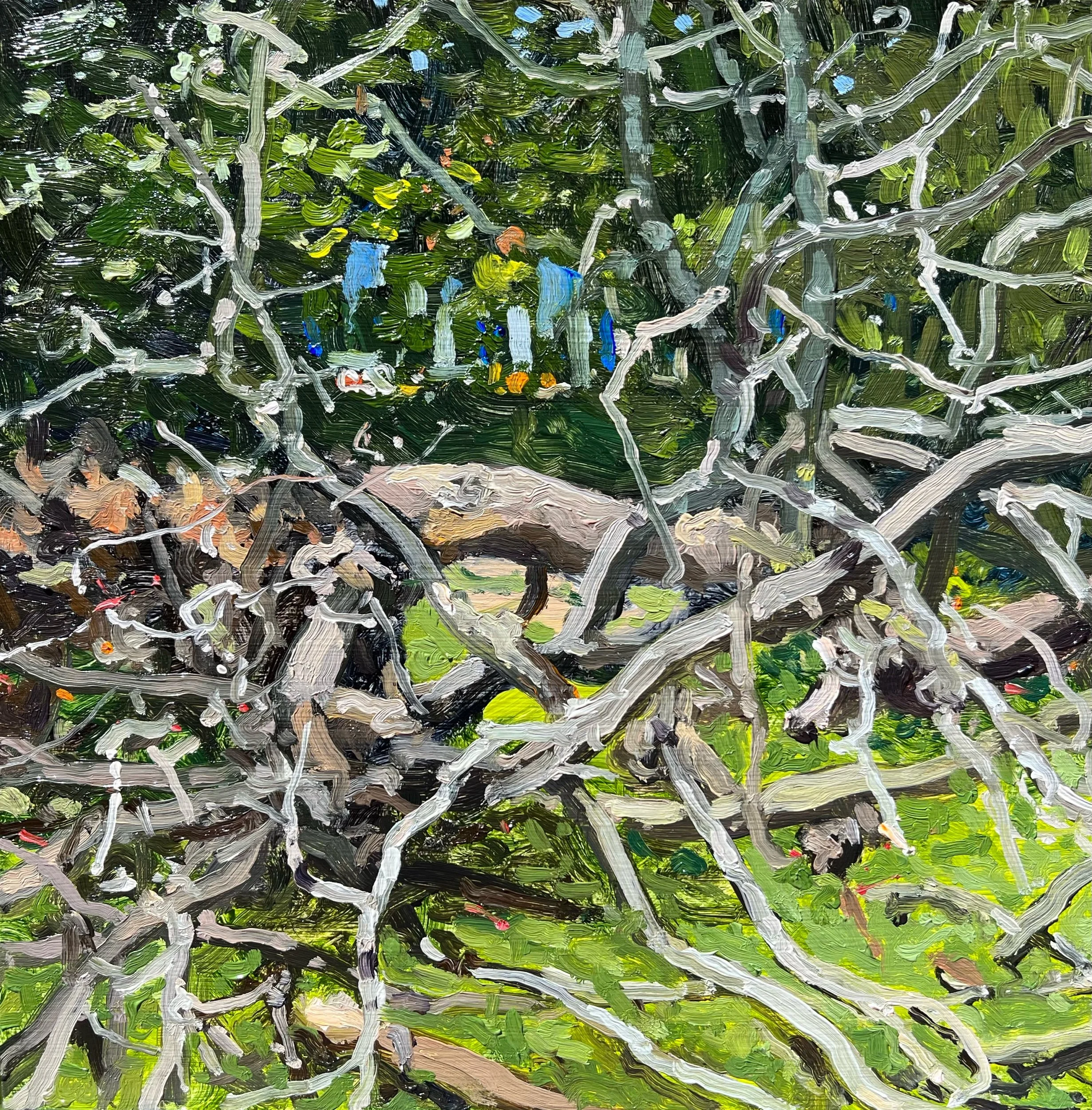  “Forestry - 15” oil on wood, h 8” x w 8”, 2022 ©  David Nakabayashi - Artist  