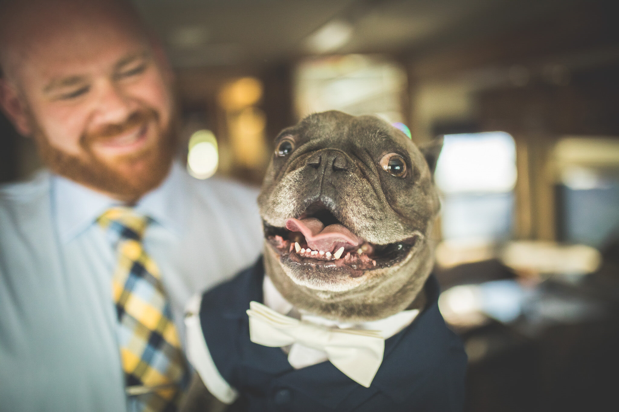 The Most Dogtastic Wedding Ever