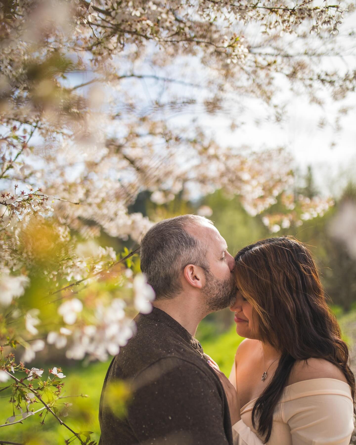 Cherry Blossoms. That&rsquo;s what we talked about when we first planned this Maternity Session.

The timing was looking just right, and although I think all 3 of us would rather go Sakura hunting in Japan - an unassuming but beautiful park just outs