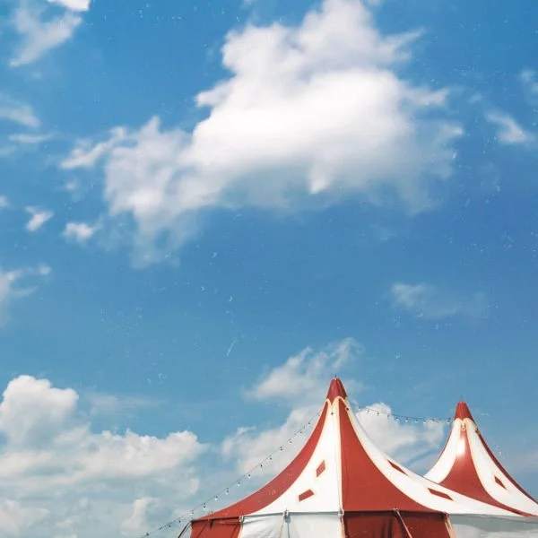 Producing/Engineering/Mixing