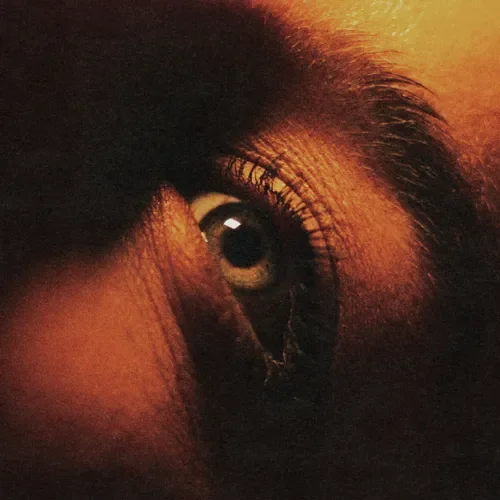 Producing/Engineering