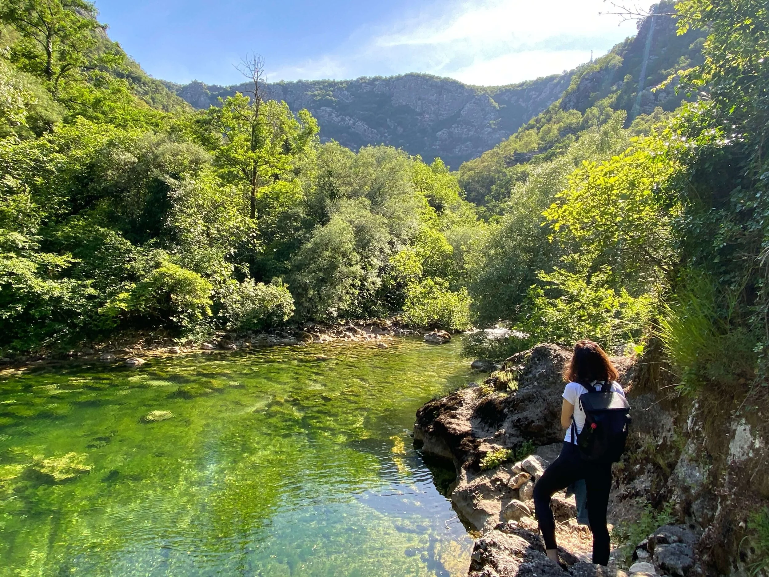 Nature in Lake Skadar area - in particular - this hiking trail passes next to the water, almost the whole way.
